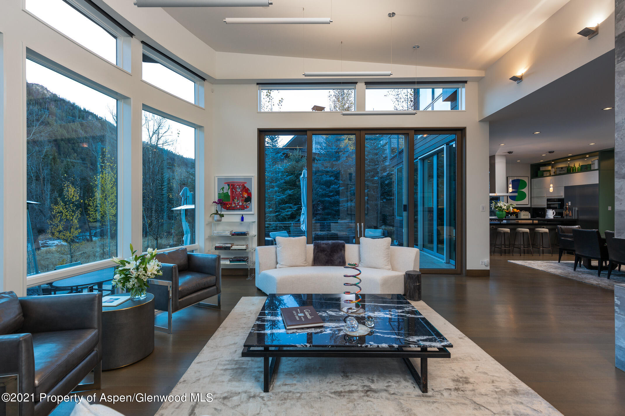 79 Winter Way Aspen CO 81611