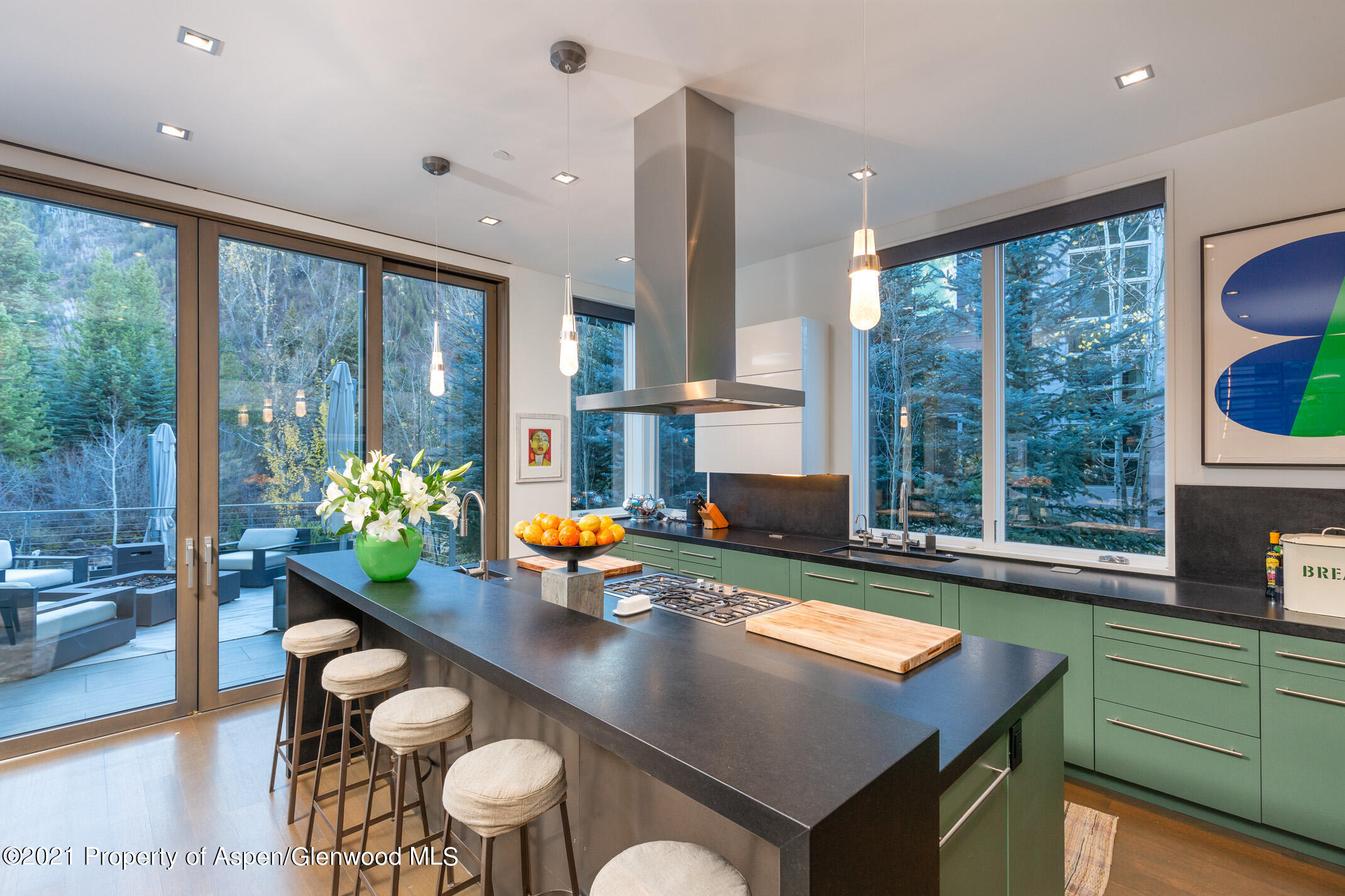 79 Winter Way Aspen CO 81611