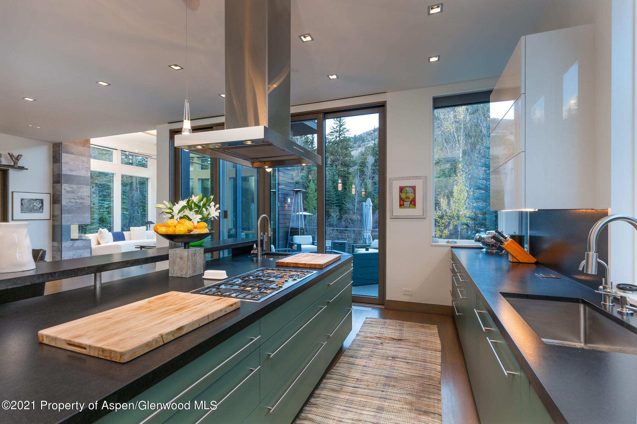 79 Winter Way Aspen CO 81611