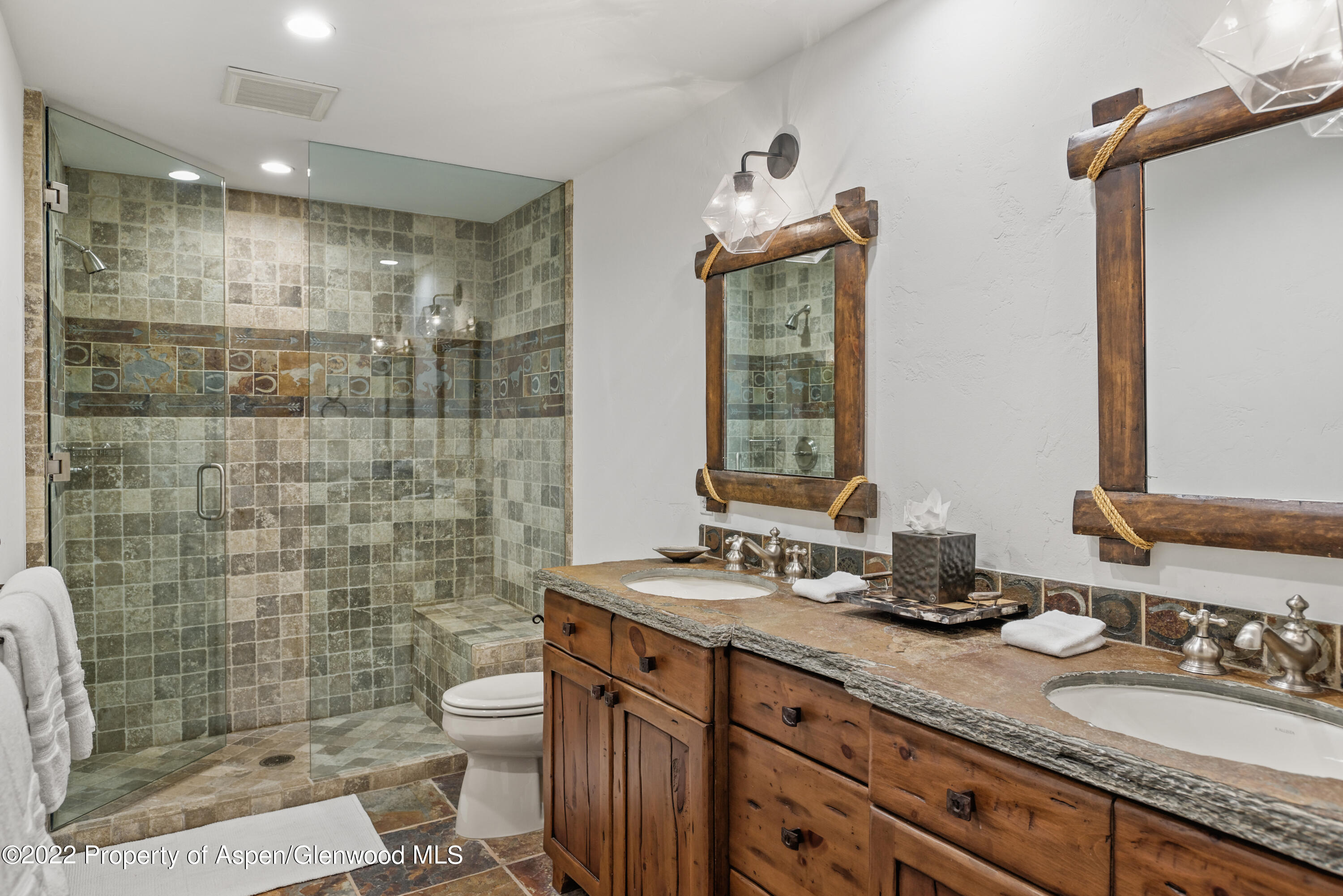 704 E Cooper Avenue Aspen CO 81611