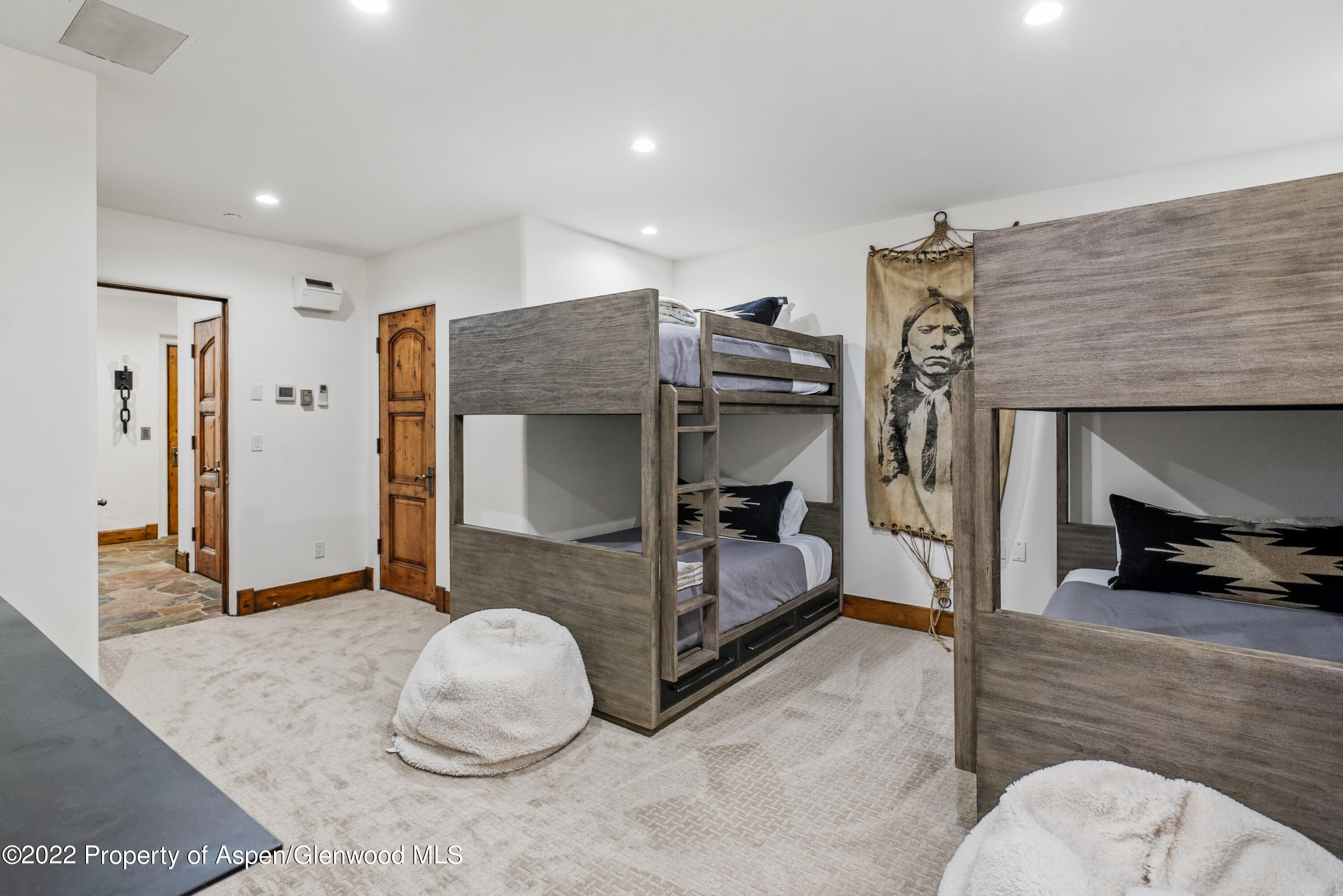 704 E Cooper Avenue Aspen CO 81611