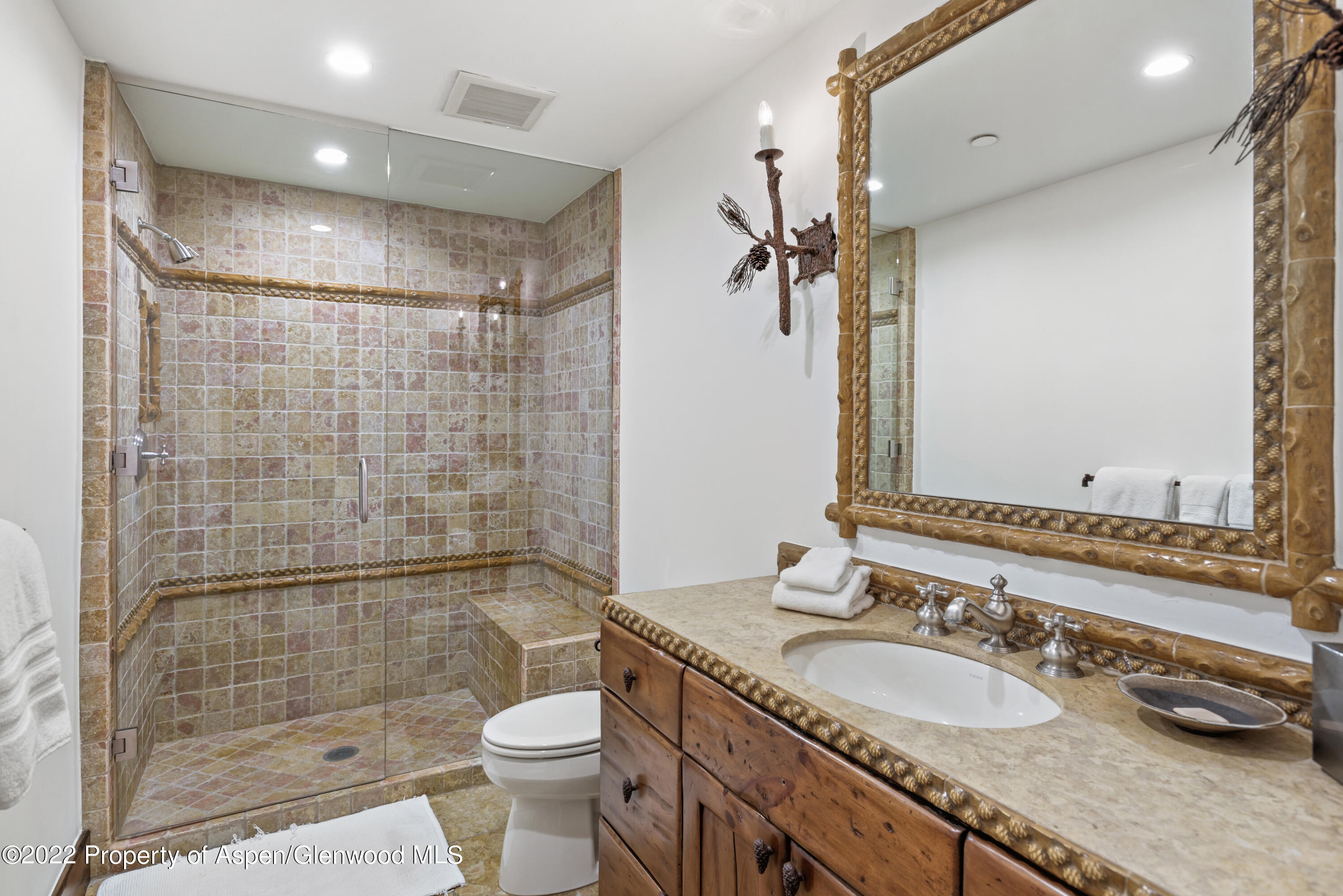 704 E Cooper Avenue Aspen CO 81611