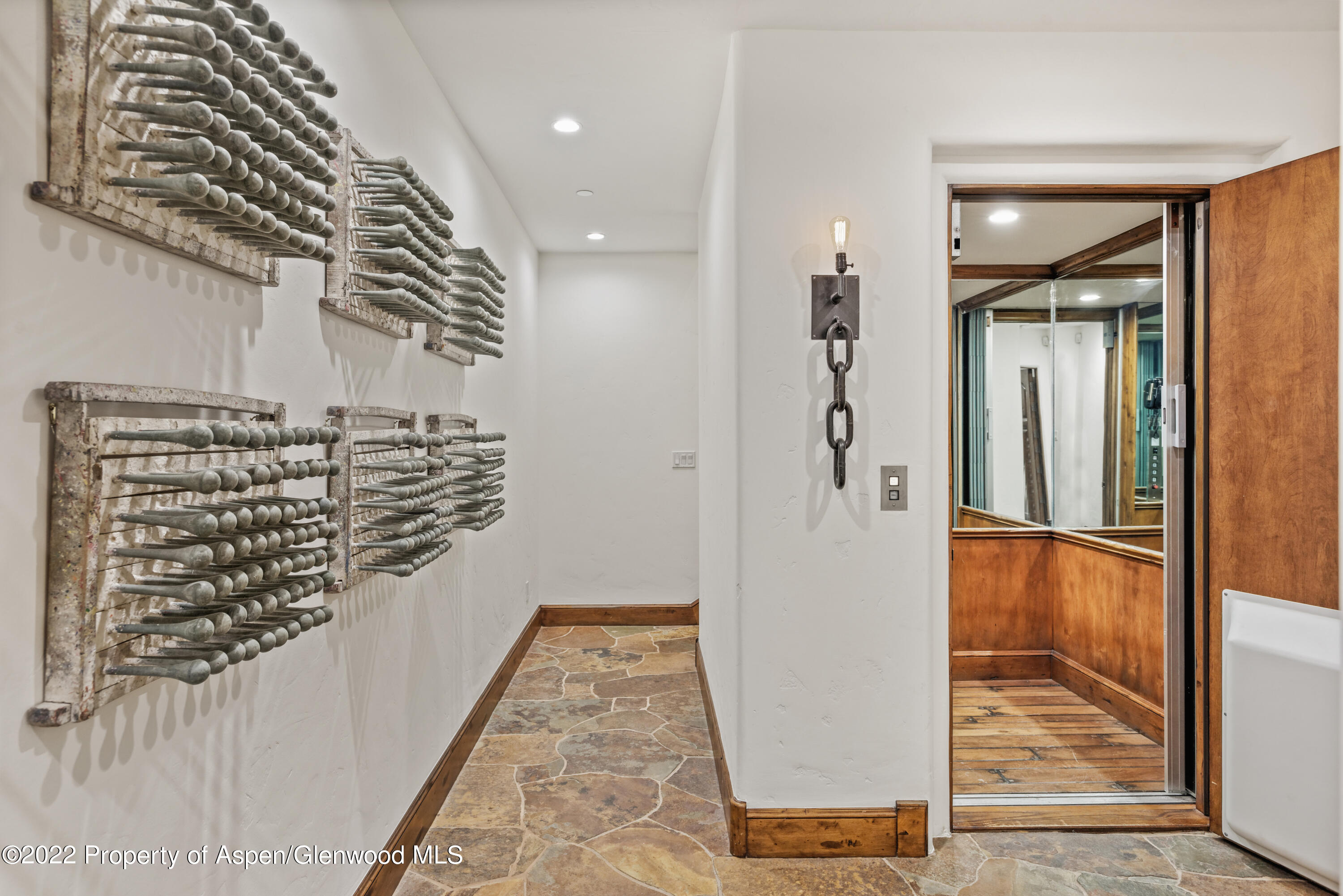 704 E Cooper Avenue Aspen CO 81611