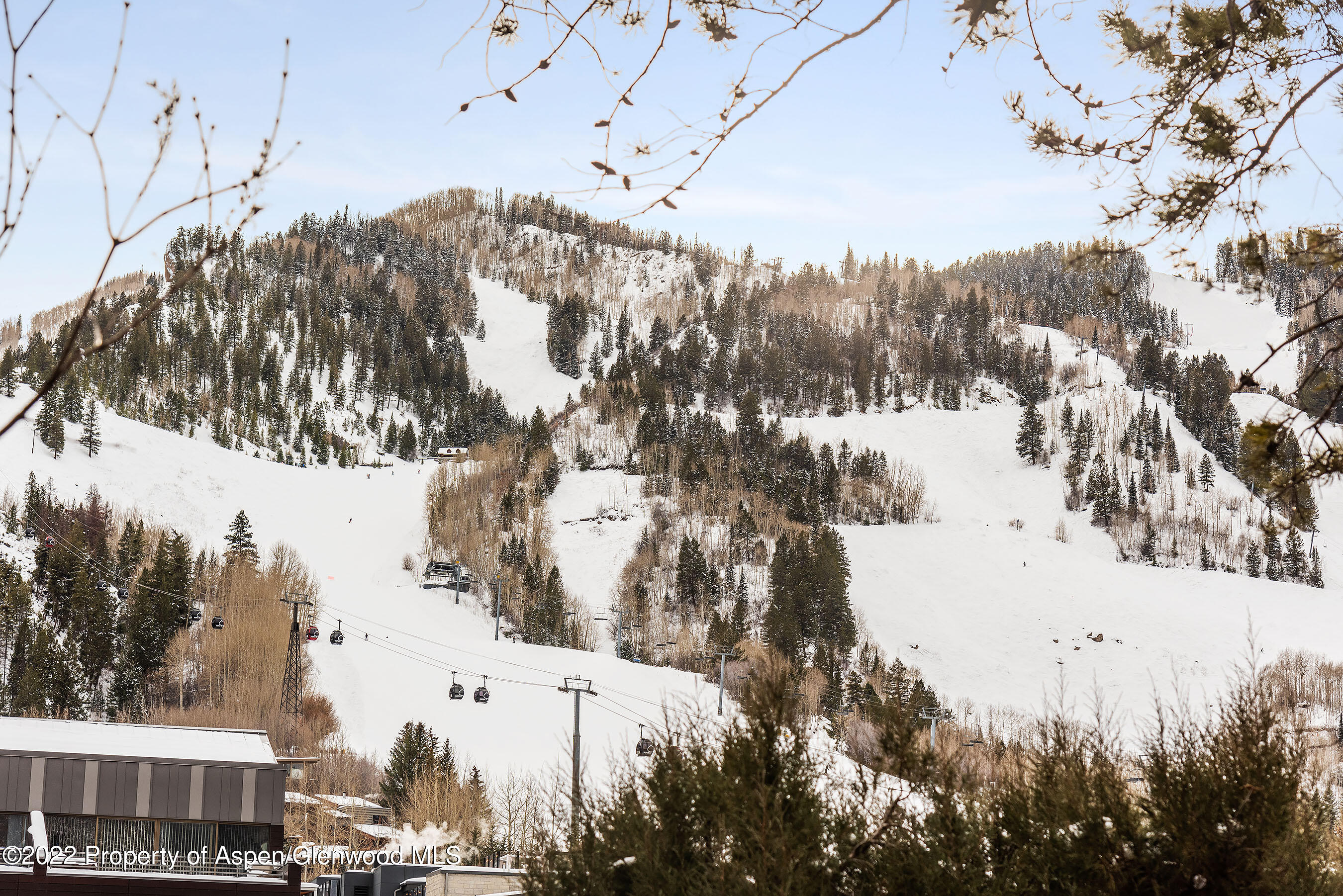 704 E Cooper Avenue Aspen CO 81611