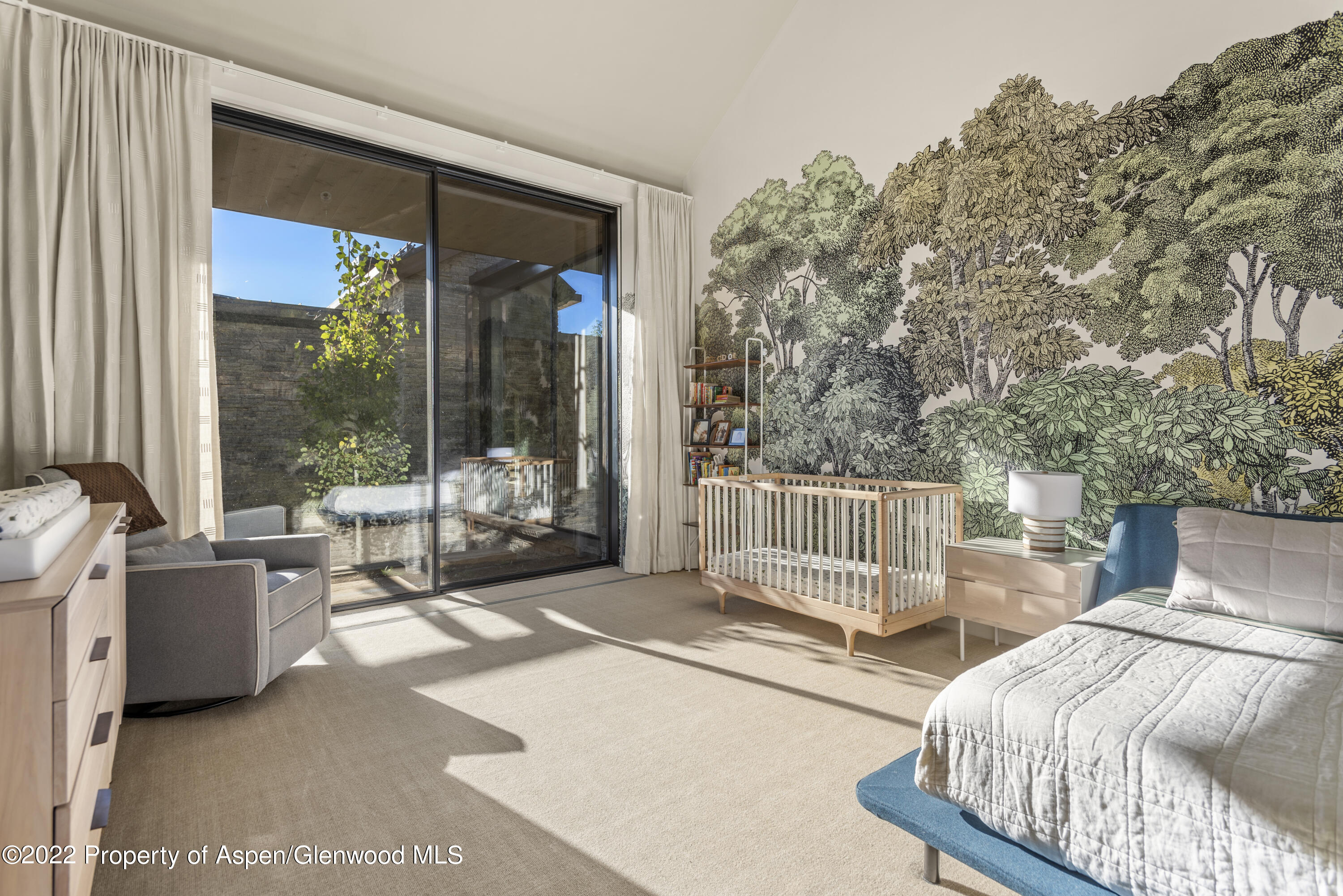 89 Slalom Path Aspen CO 81611