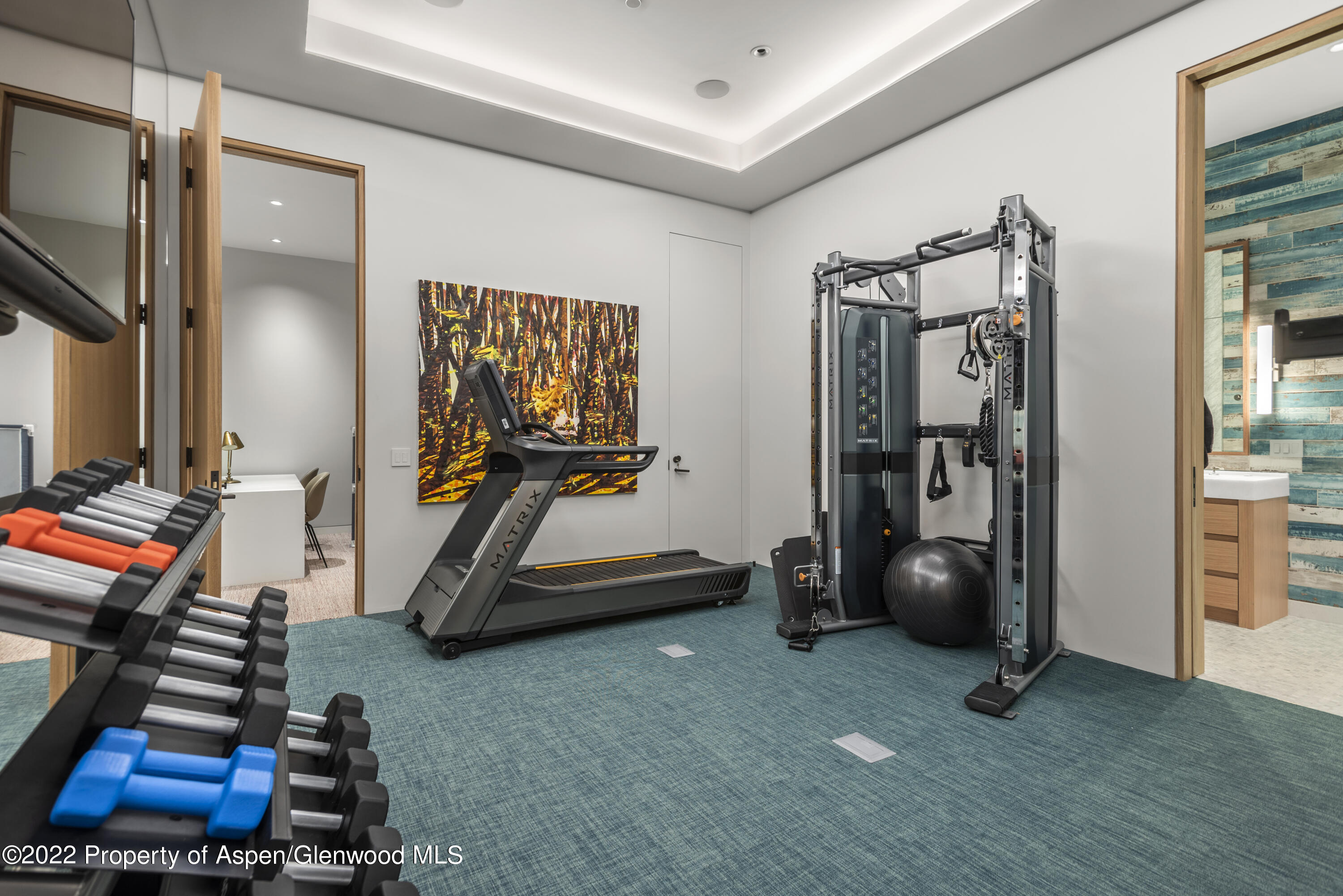 89 Slalom Path Aspen CO 81611