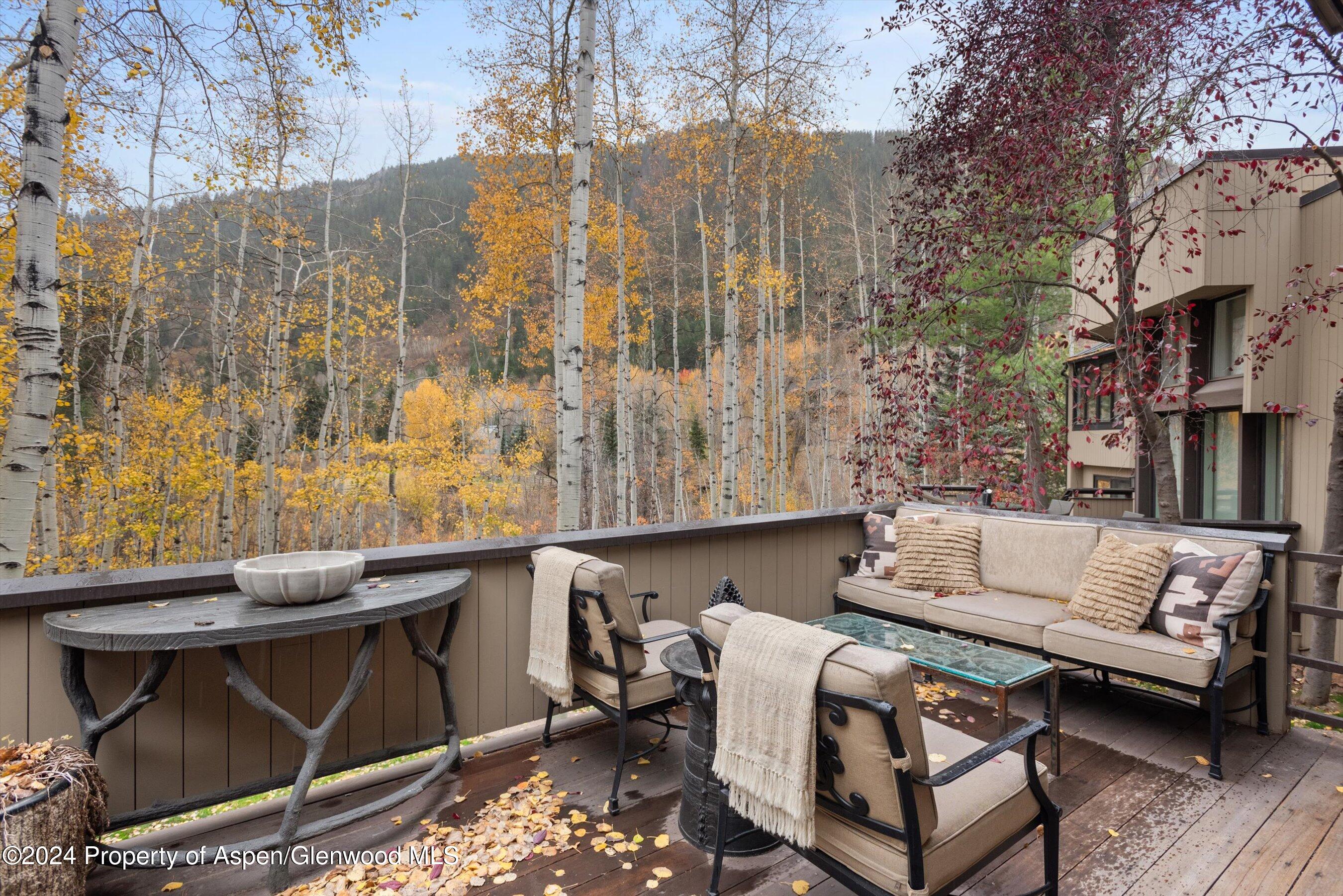 1439 Crystal Lake Road Aspen CO 81611