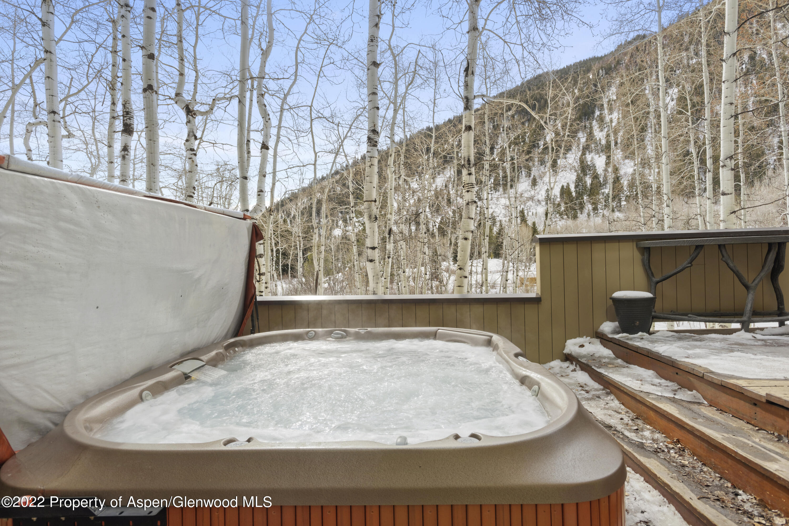 1439 Crystal Lake Road Aspen CO 81611