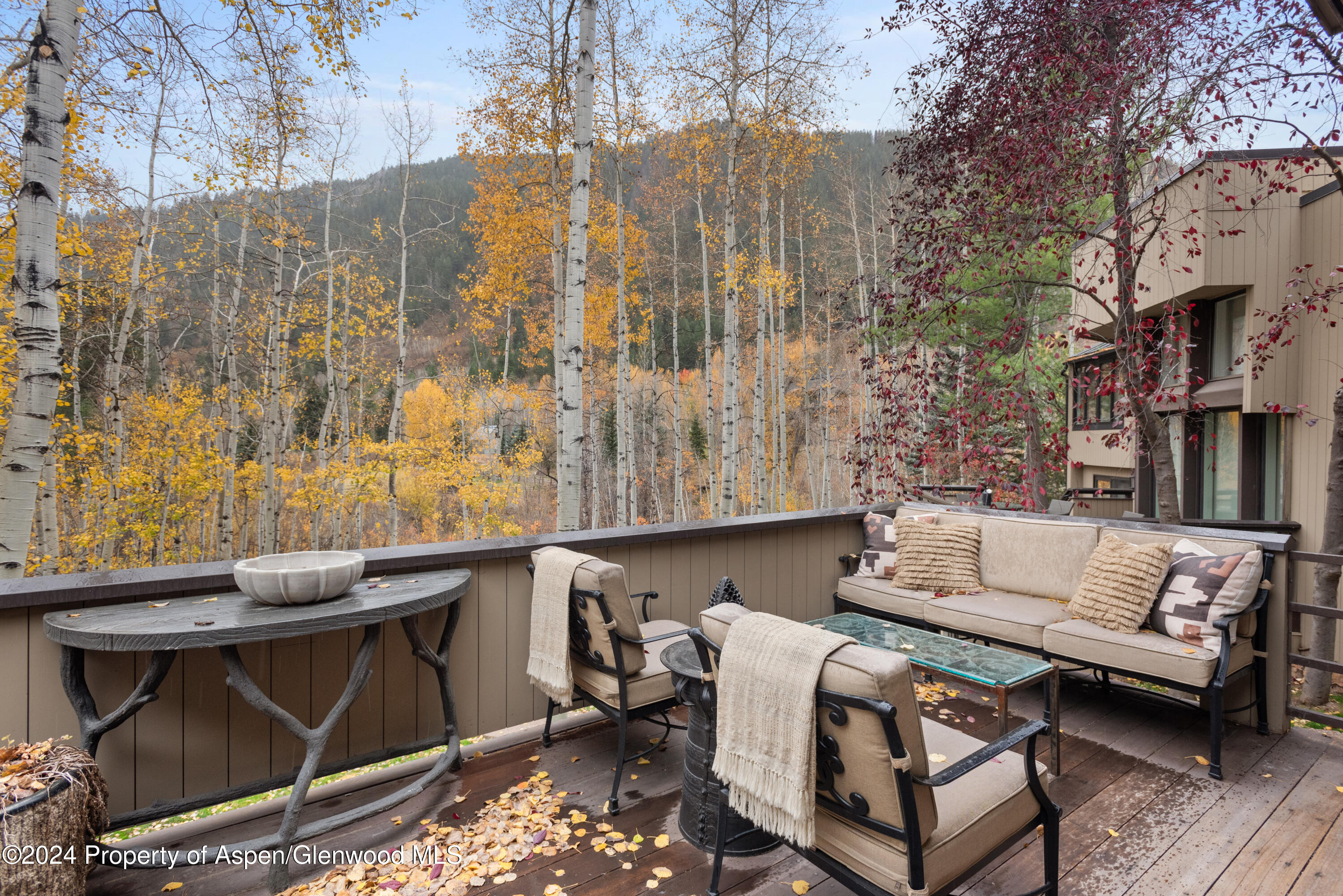 1439 Crystal Lake Road Aspen CO 81611