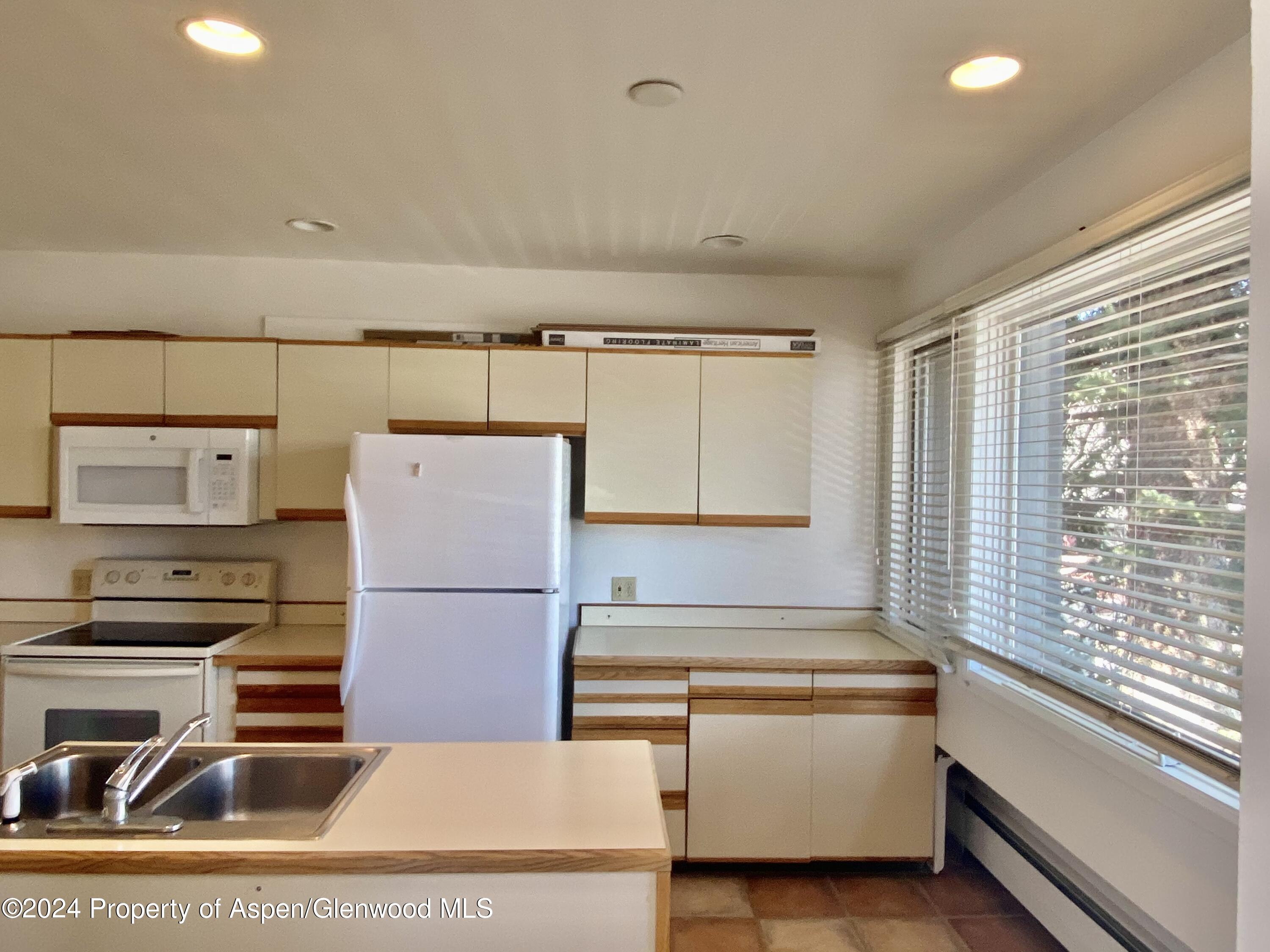 309 Pacific Ave / Abc Aspen CO 81611