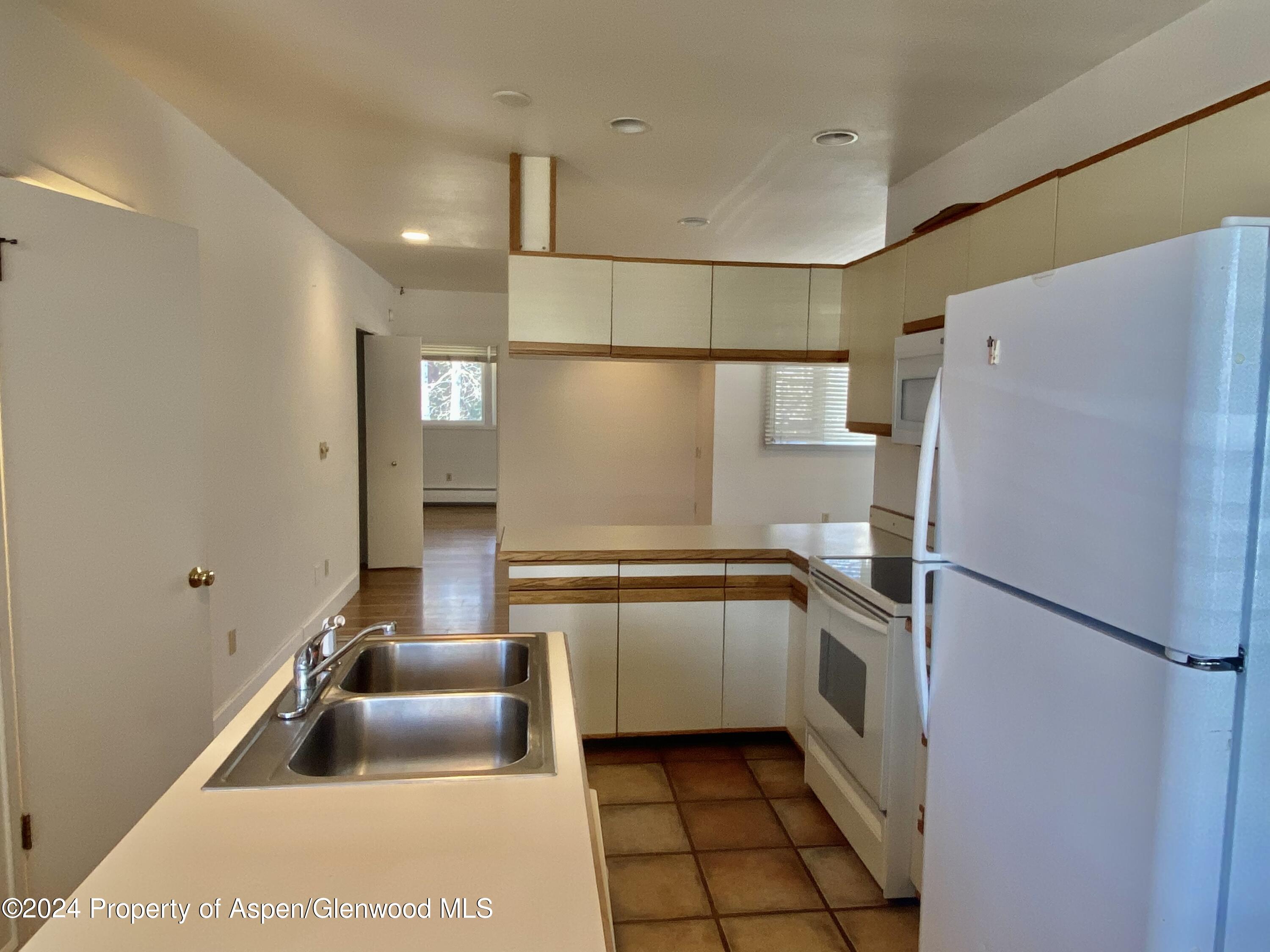 309 Pacific Ave / Abc Aspen CO 81611