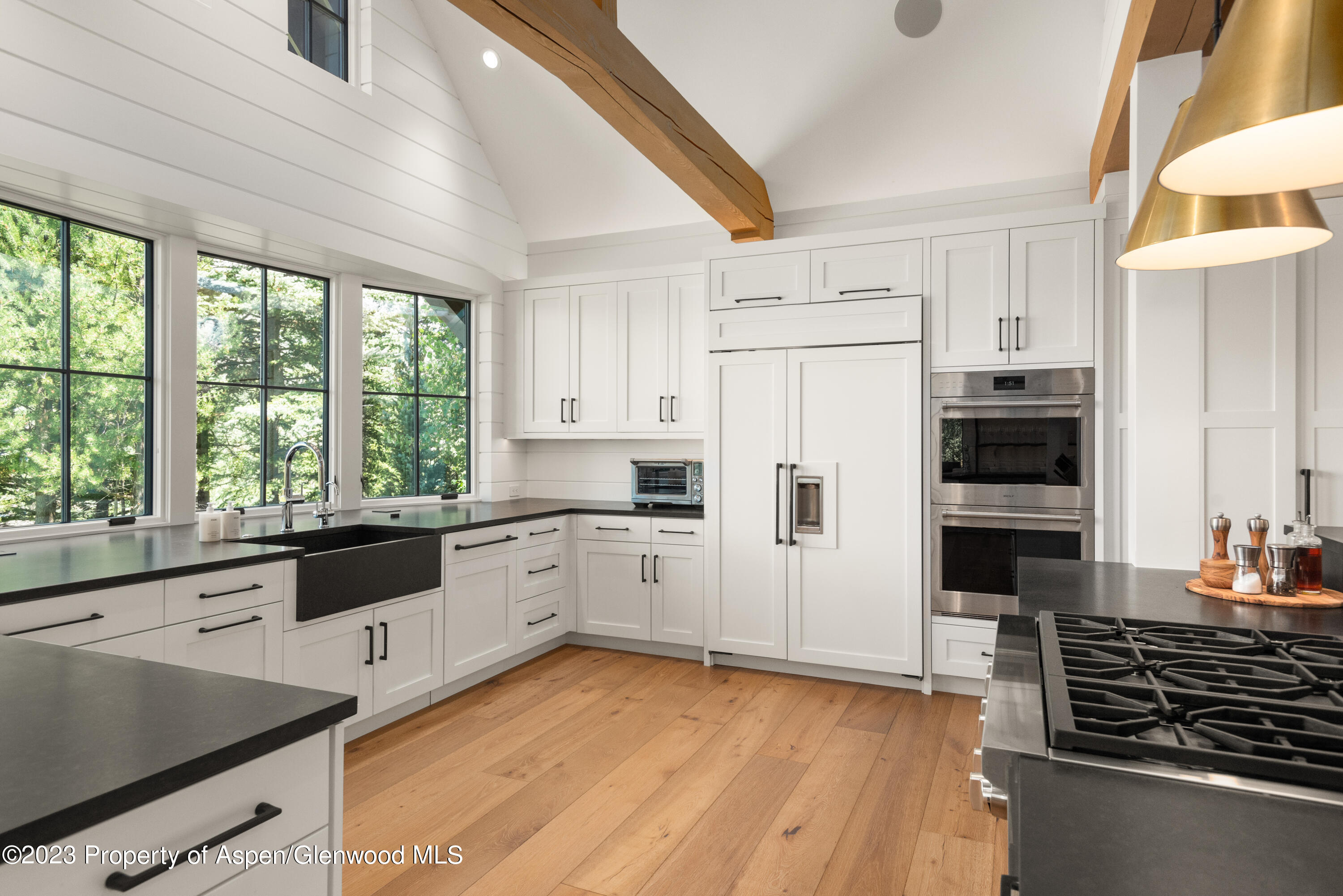 11 Heather Lane Aspen CO 81611