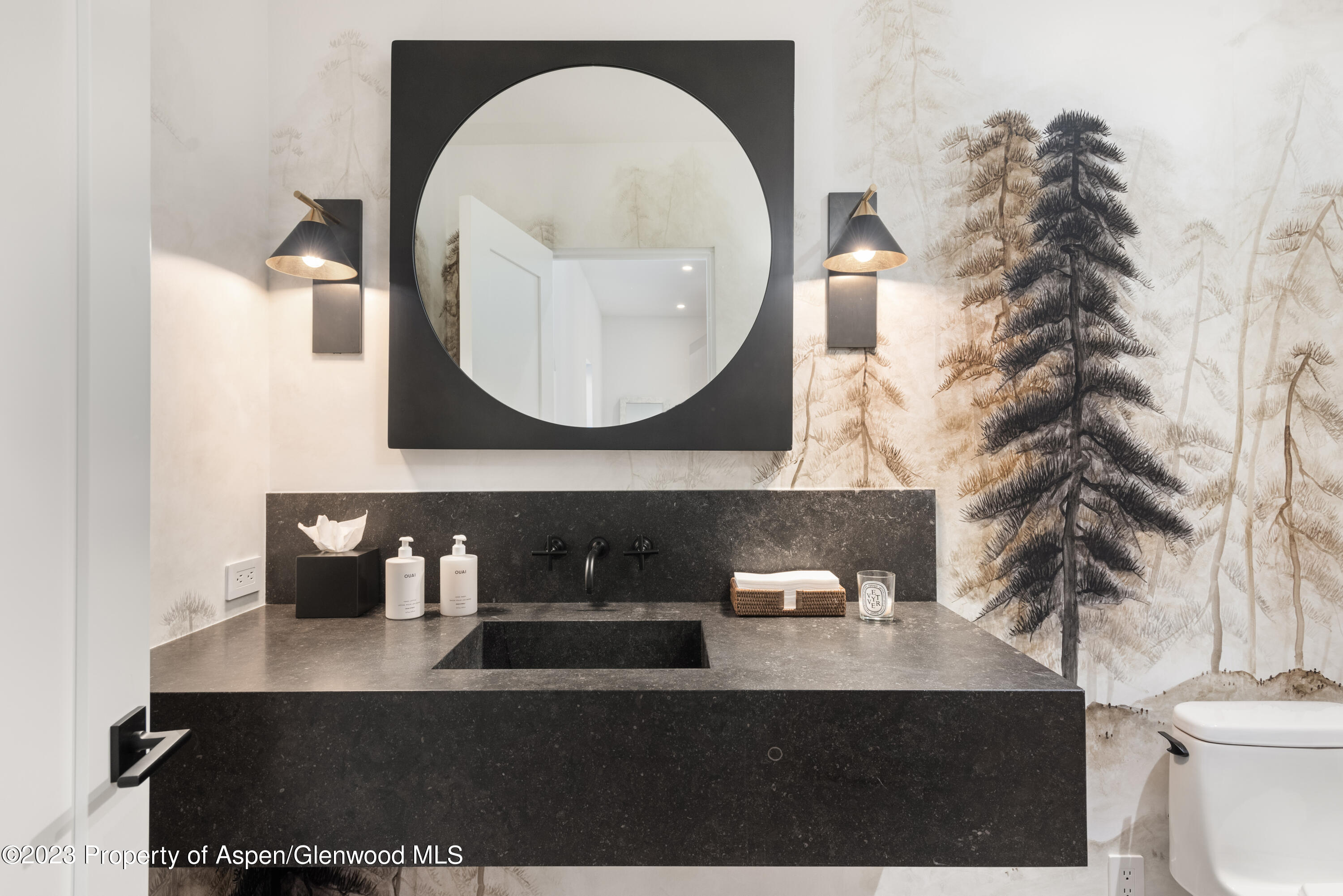 11 Heather Lane Aspen CO 81611