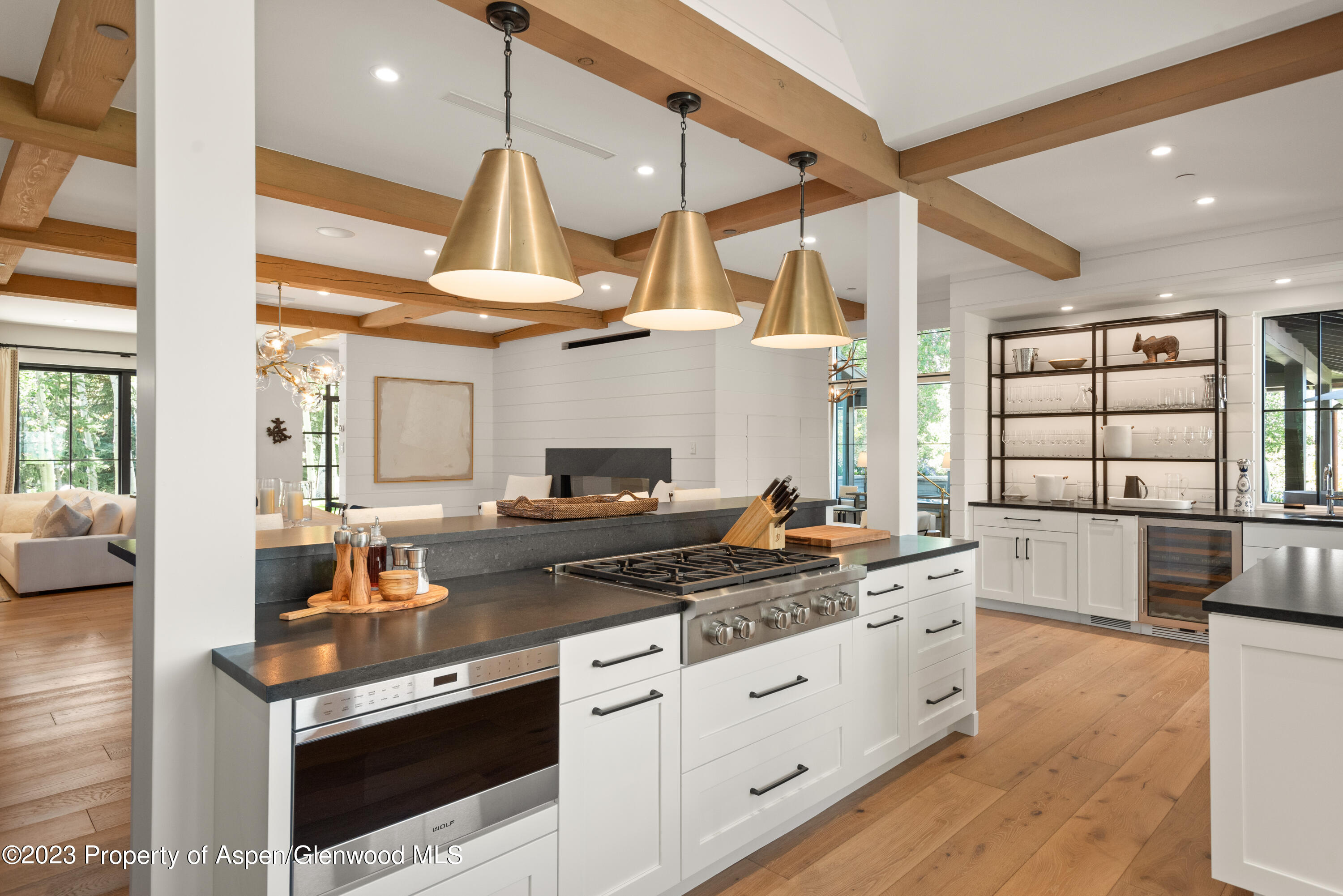 11 Heather Lane Aspen CO 81611