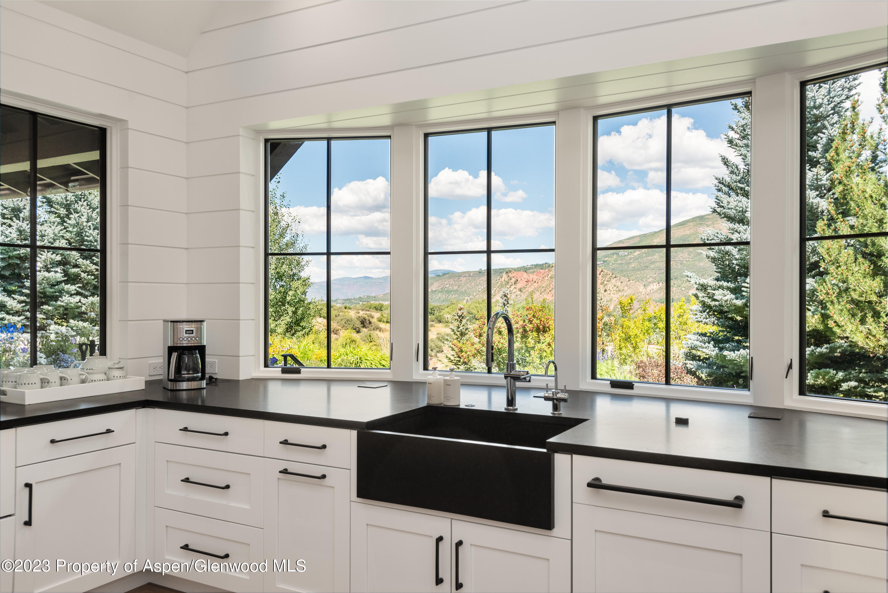 11 Heather Lane Aspen CO 81611