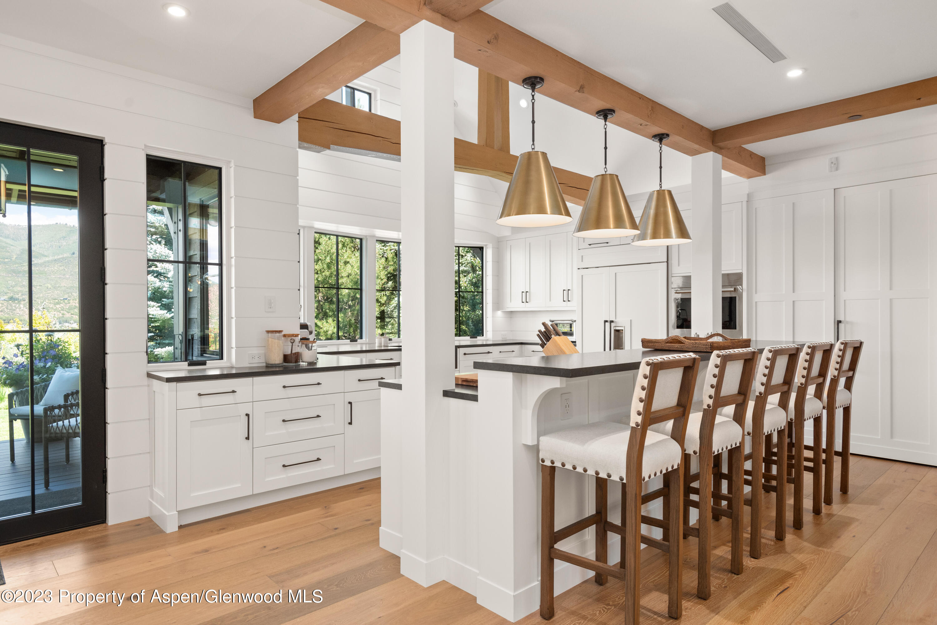 11 Heather Lane Aspen CO 81611