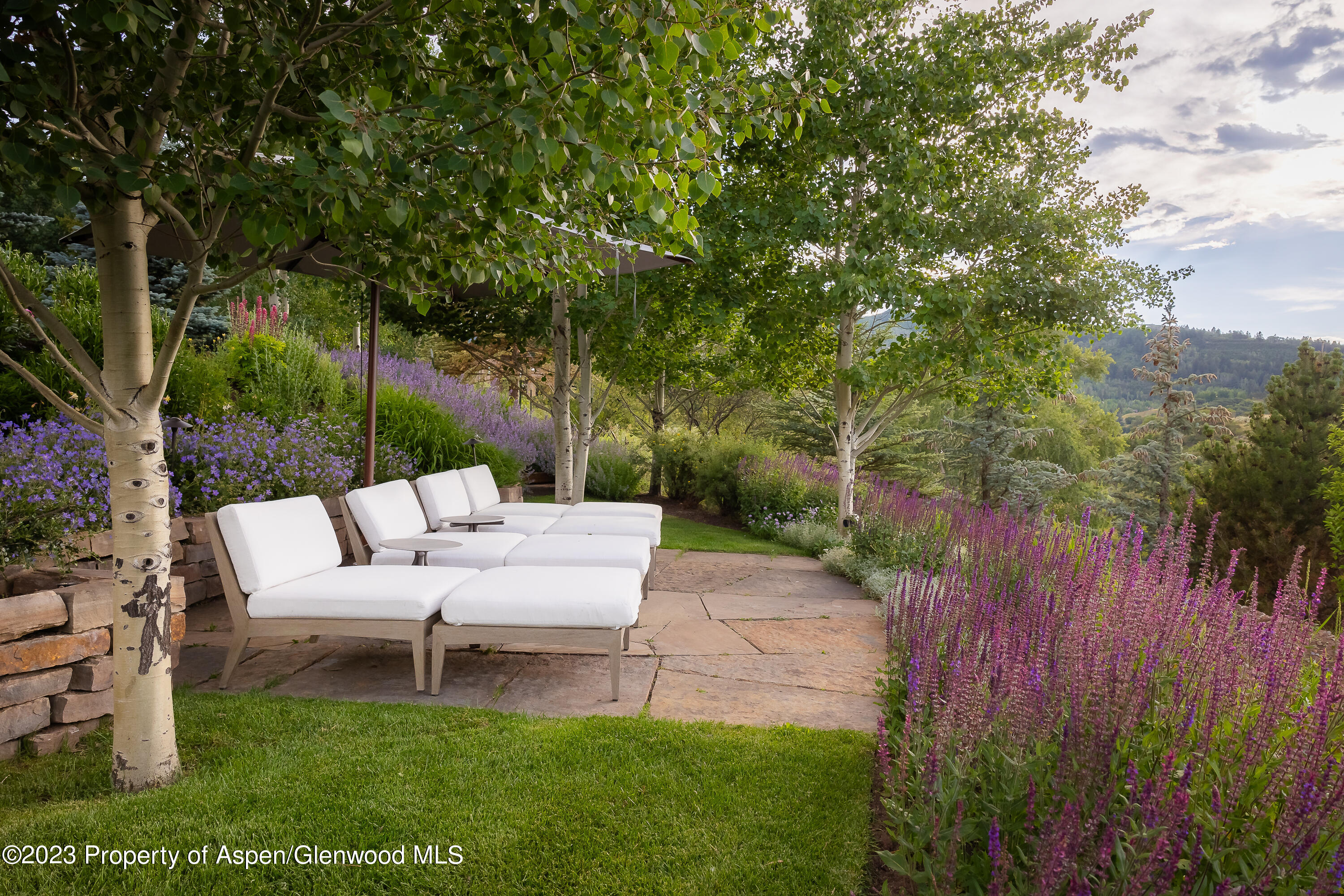 11 Heather Lane Aspen CO 81611