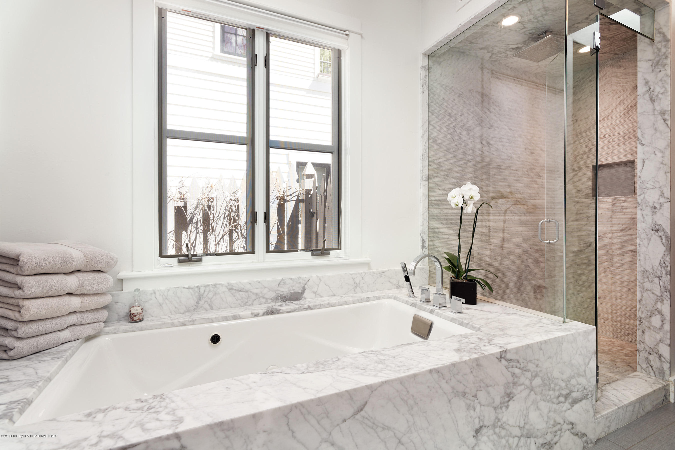 533 W Francis Street Aspen CO 81611