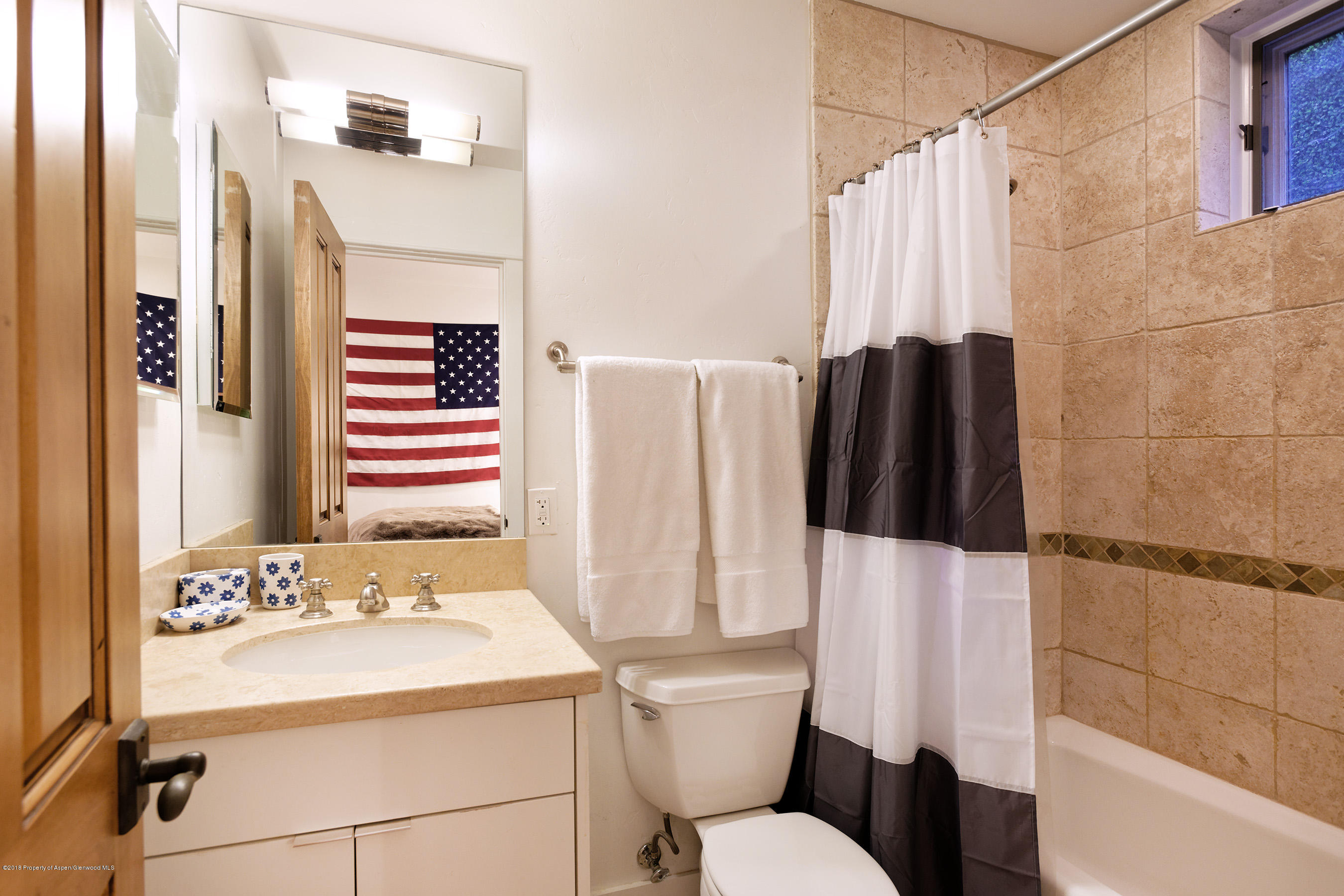 533 W Francis Street Aspen CO 81611