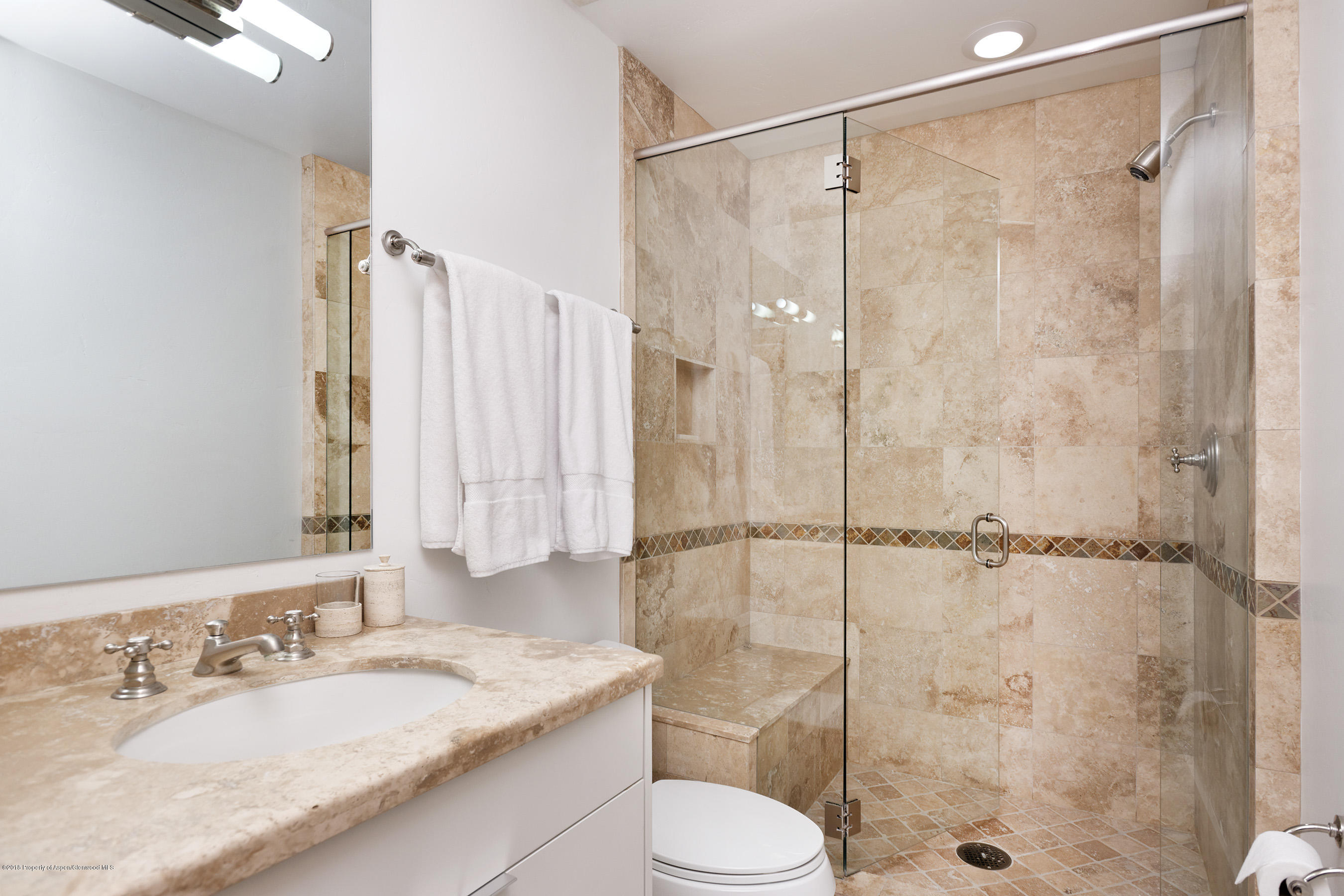 533 W Francis Street Aspen CO 81611