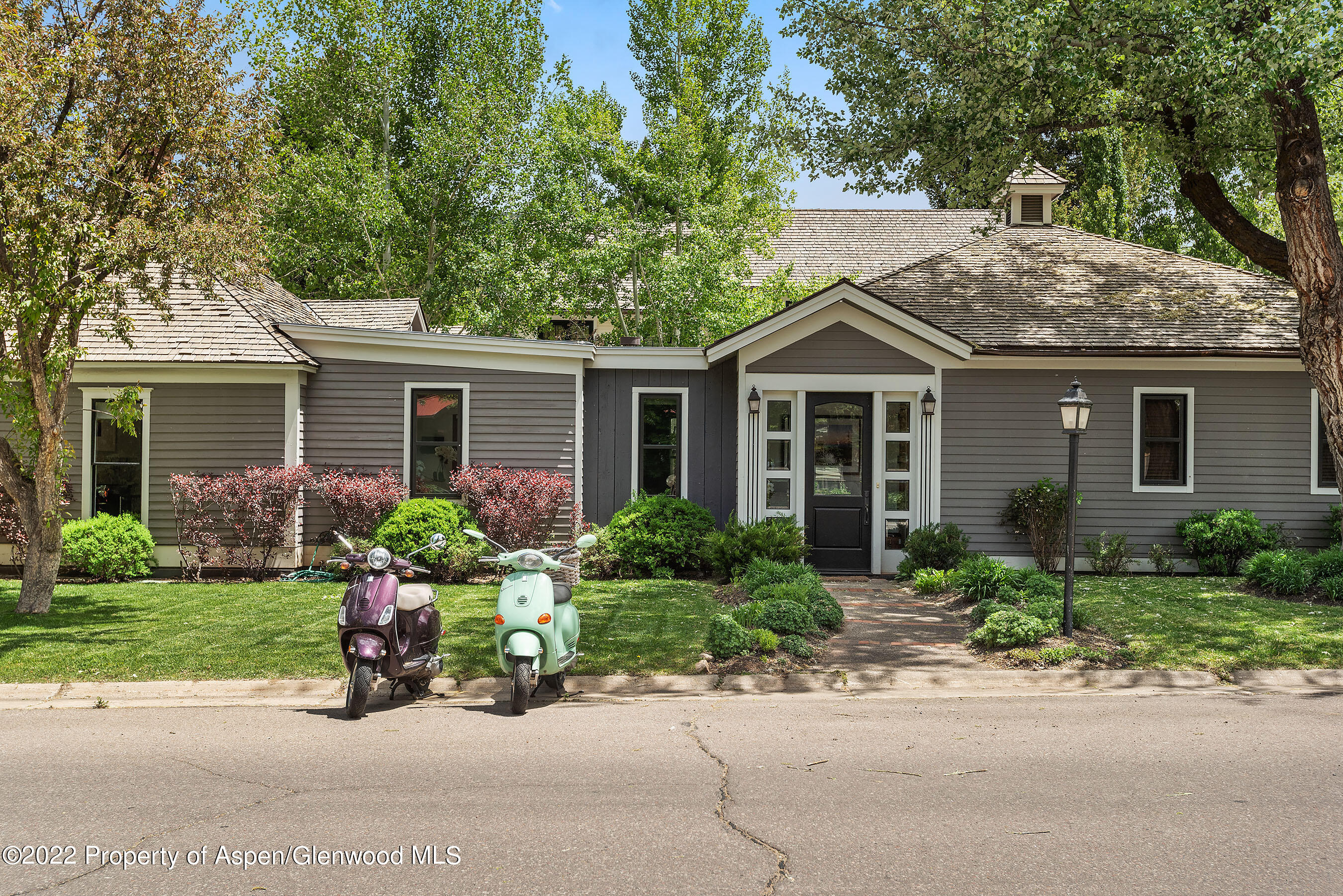 533 W Francis Street Aspen CO 81611