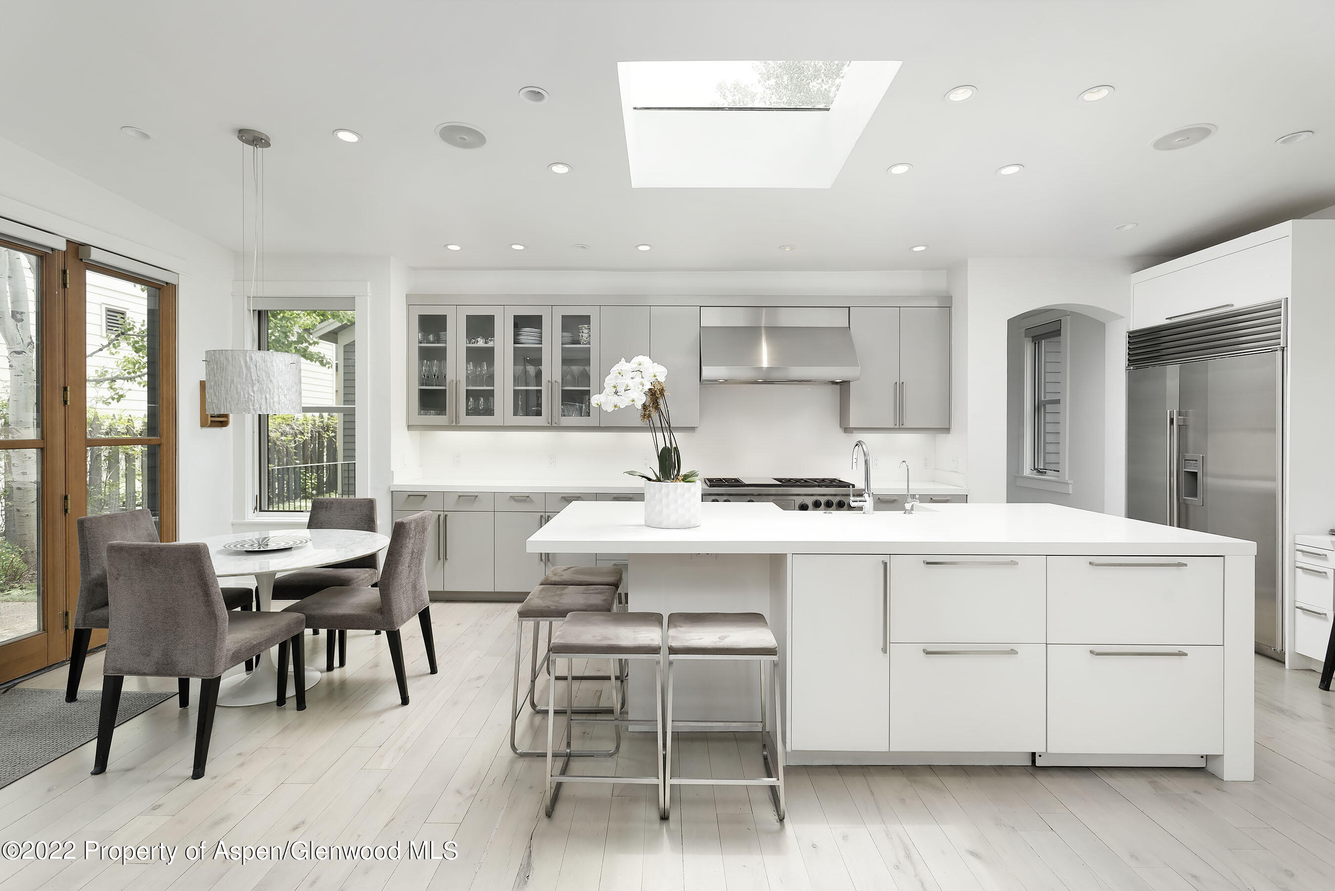 533 W Francis Street Aspen CO 81611