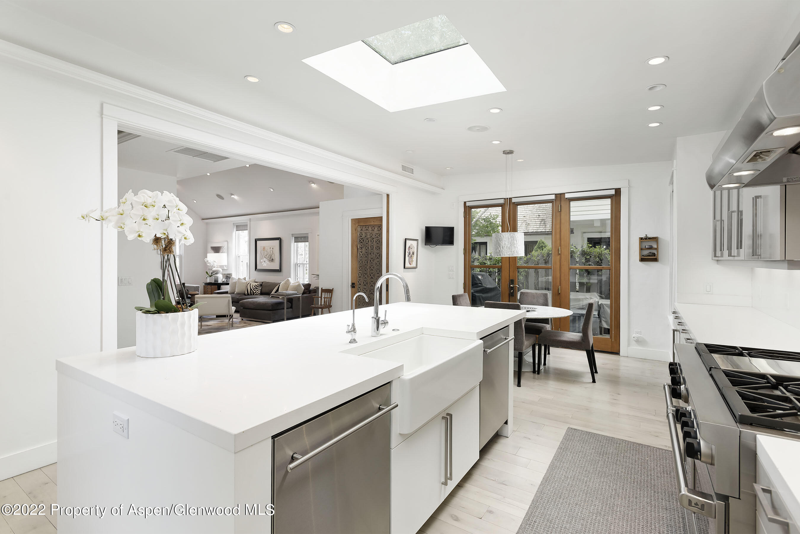 533 W Francis Street Aspen CO 81611