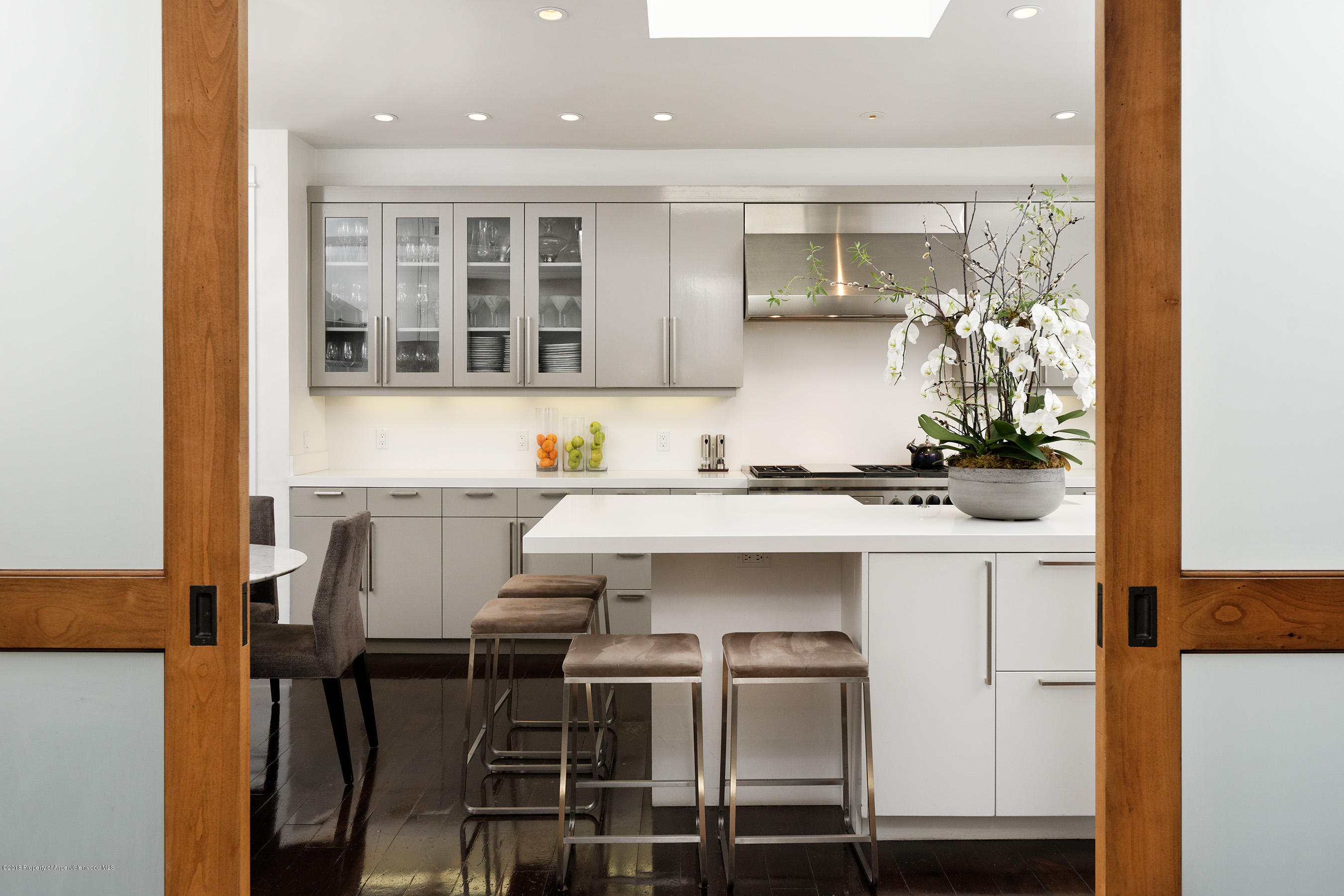 533 W Francis Street Aspen CO 81611