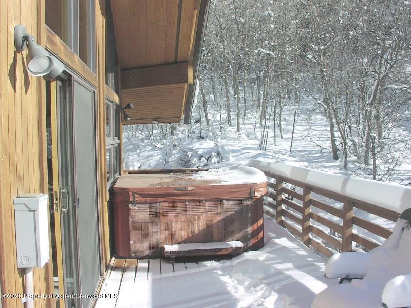 368 E Lupine Drive Aspen CO 81611