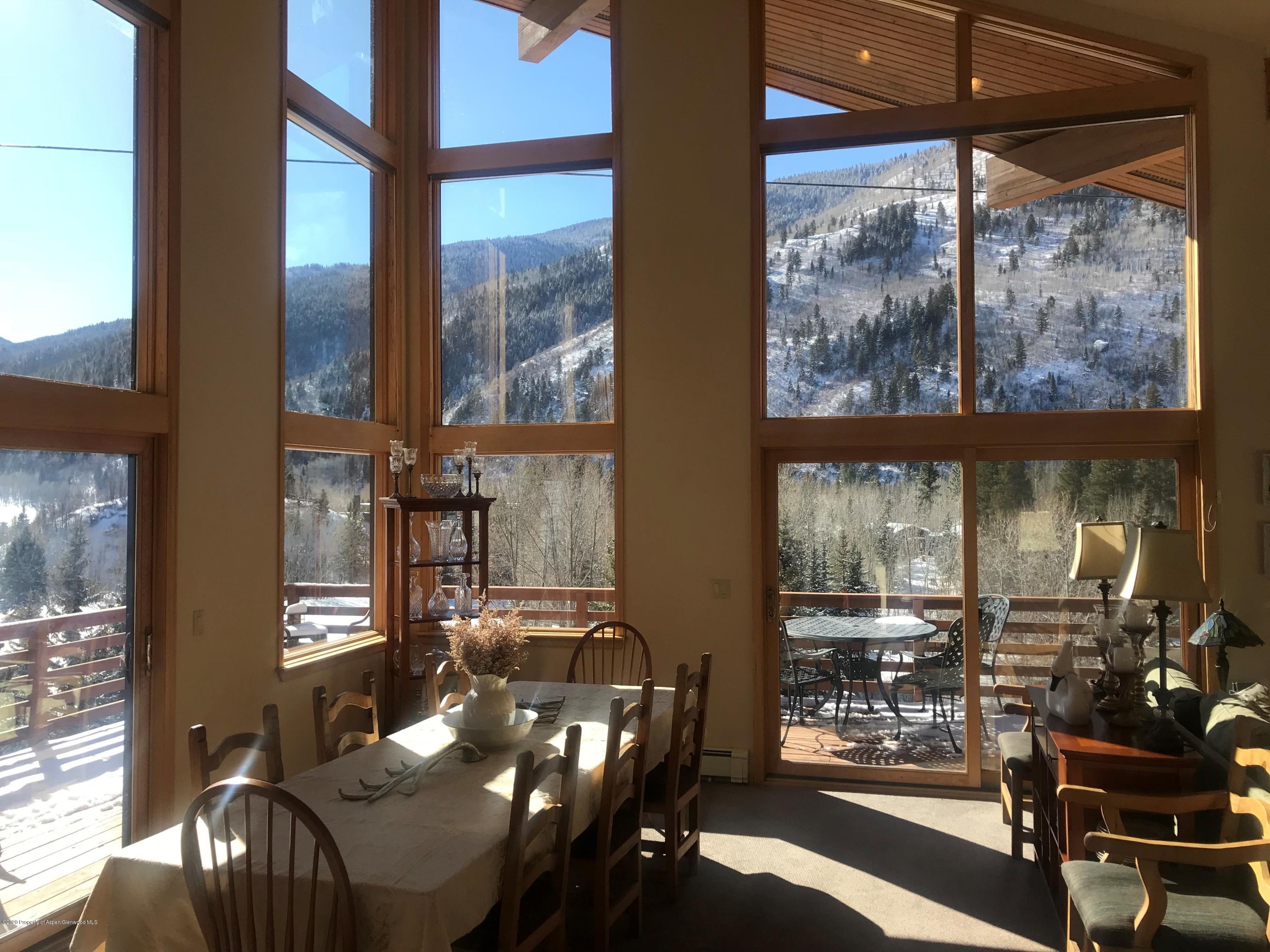 368 E Lupine Drive Aspen CO 81611