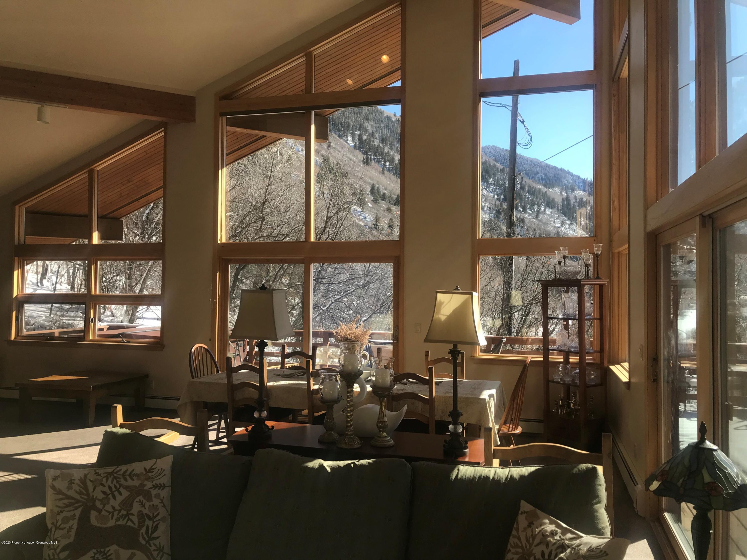 368 E Lupine Drive Aspen CO 81611