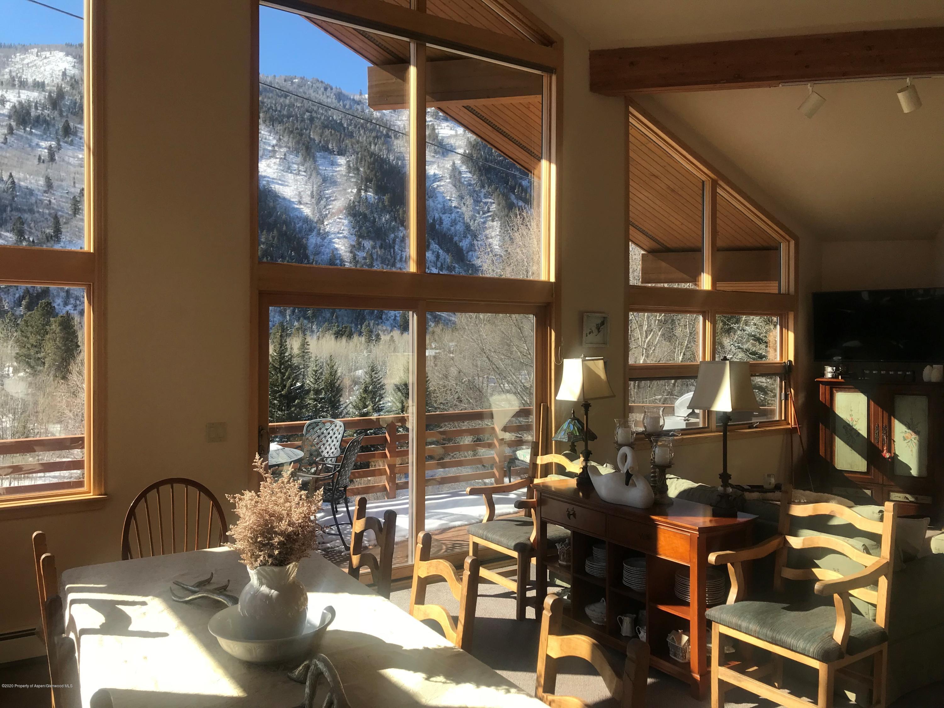 368 E Lupine Drive Aspen CO 81611