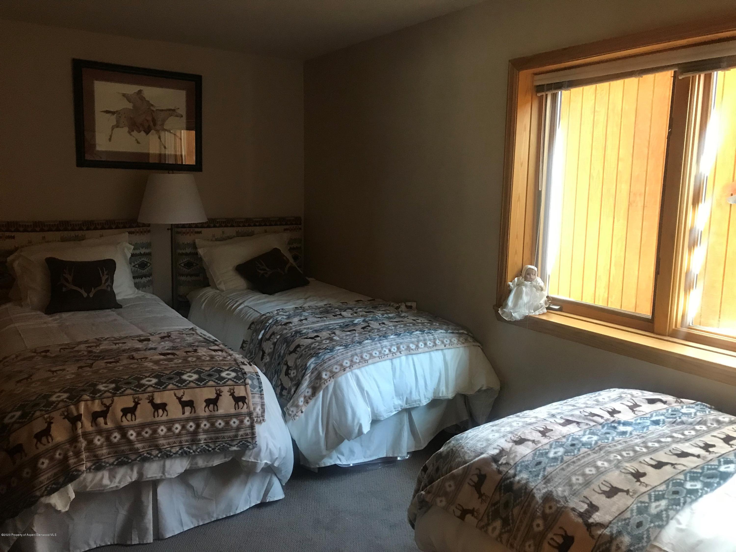 368 E Lupine Drive Aspen CO 81611