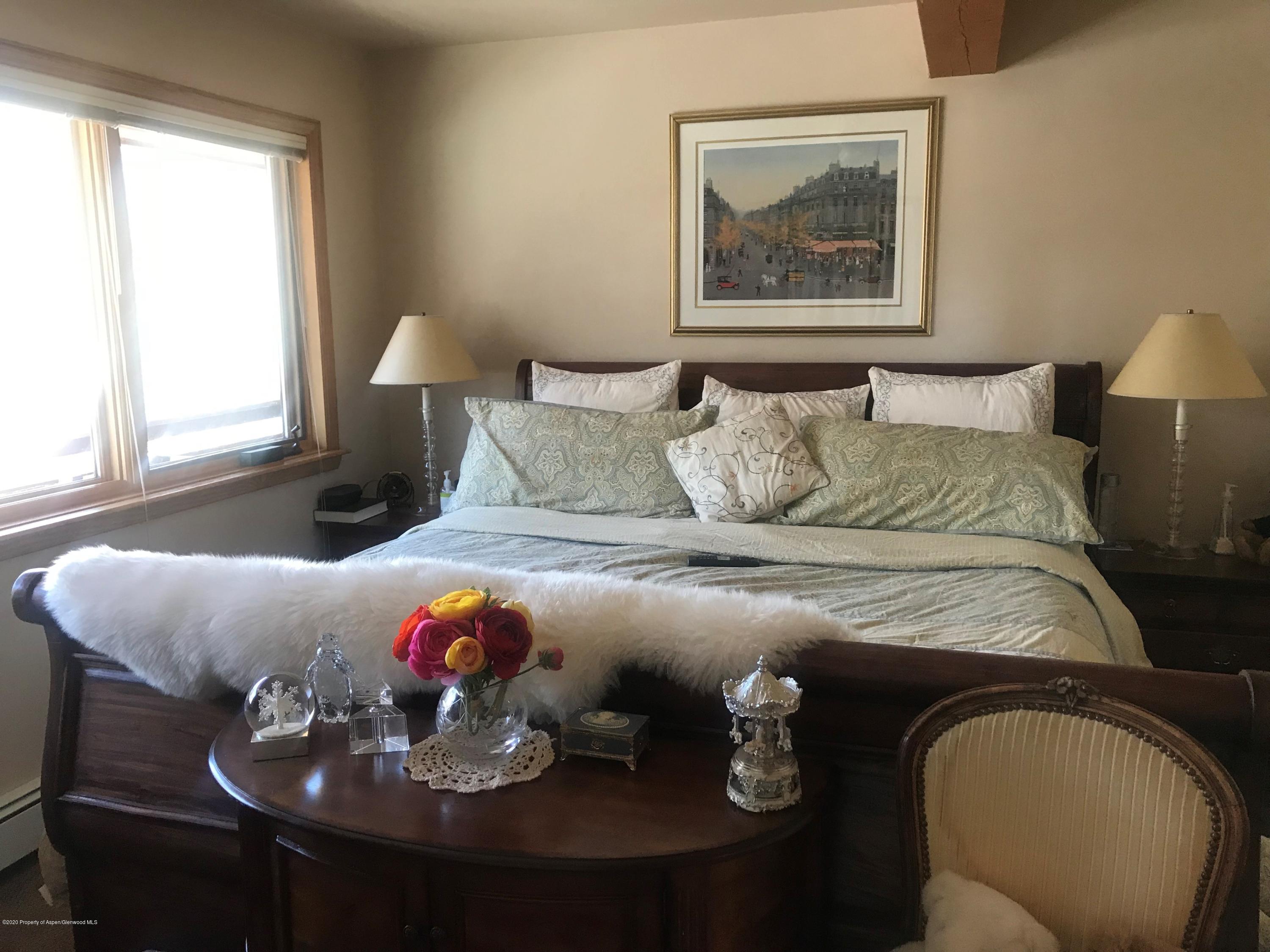 368 E Lupine Drive Aspen CO 81611