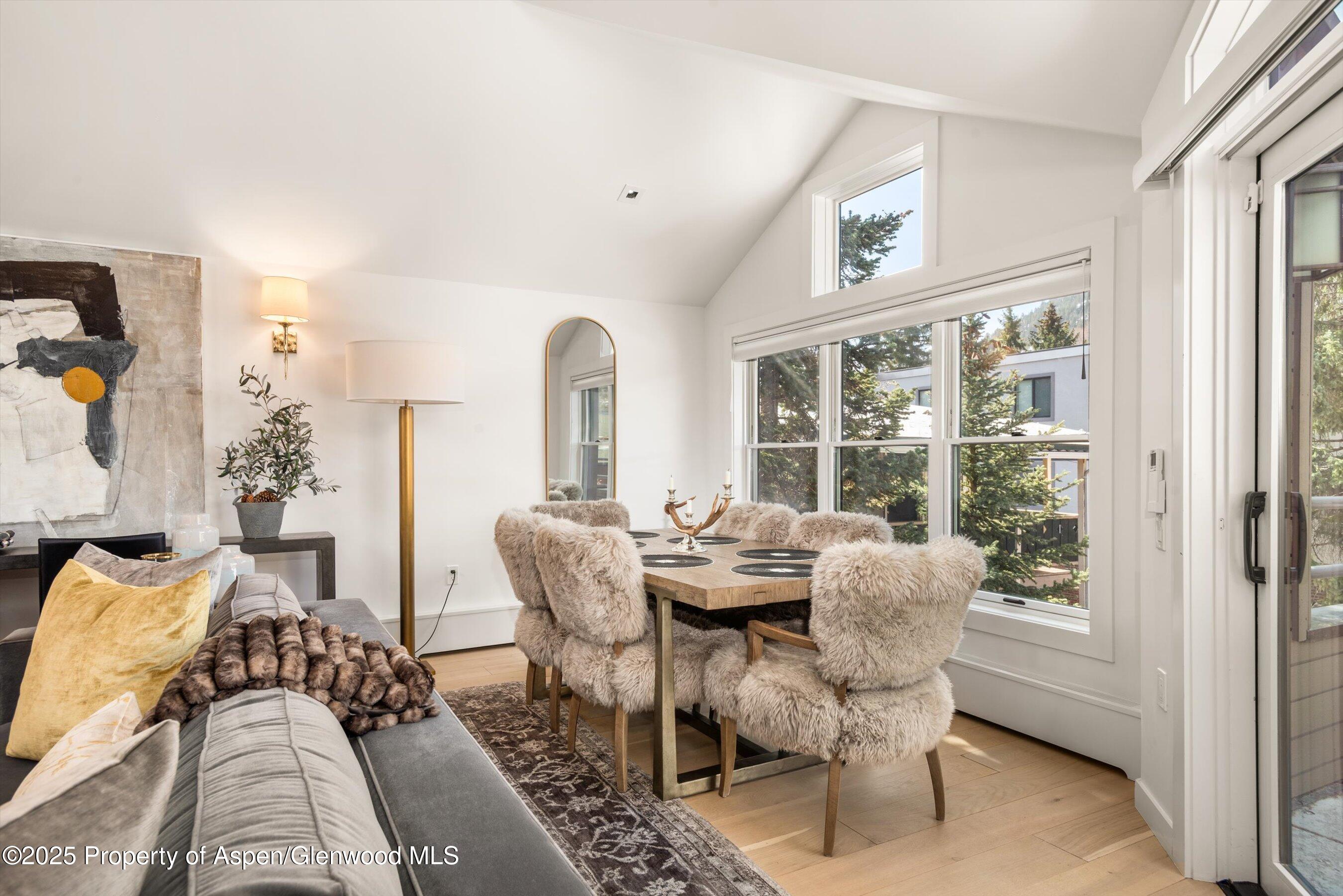 929 E E Durant Avenue Aspen CO 81611