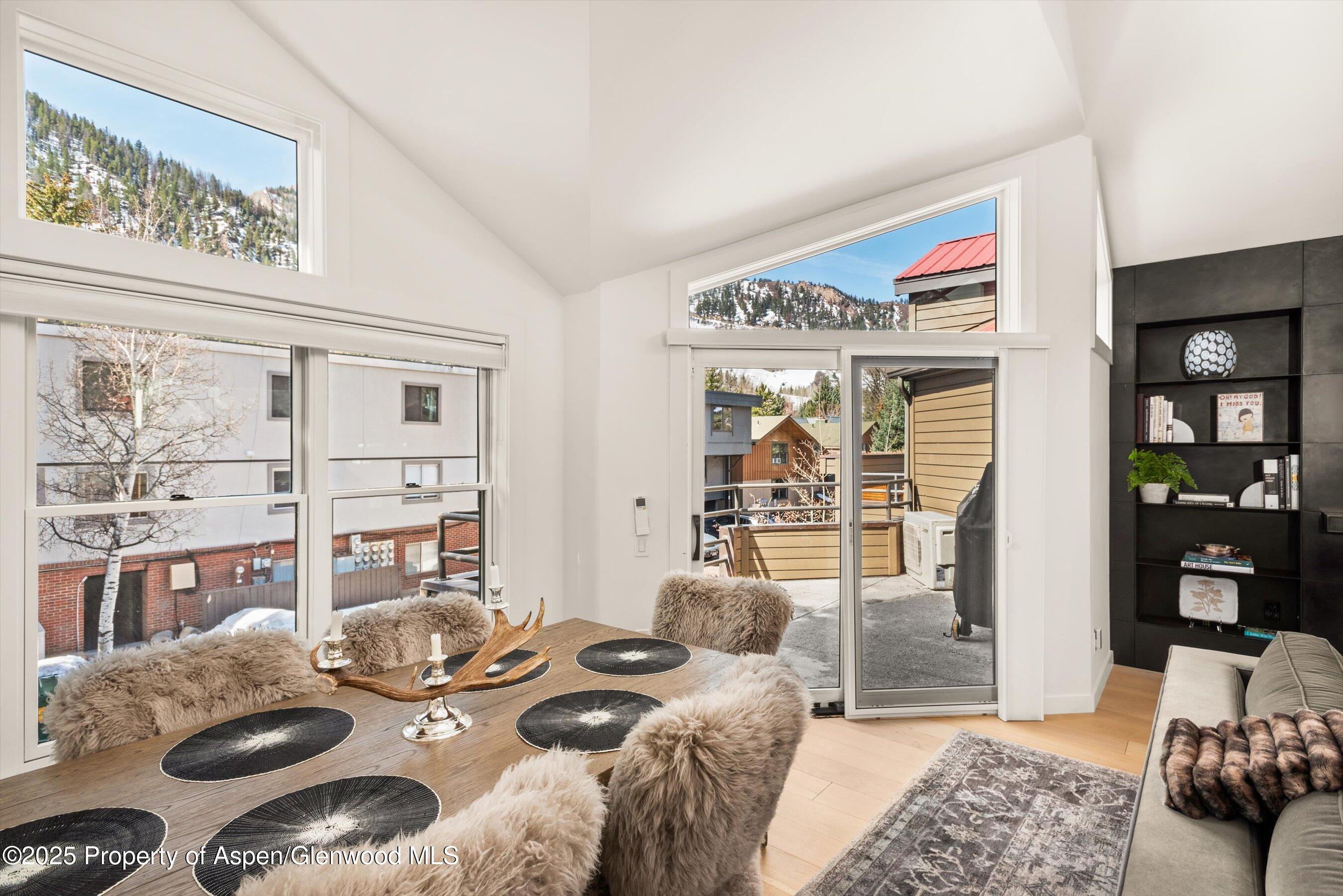 929 E E Durant Avenue Aspen CO 81611