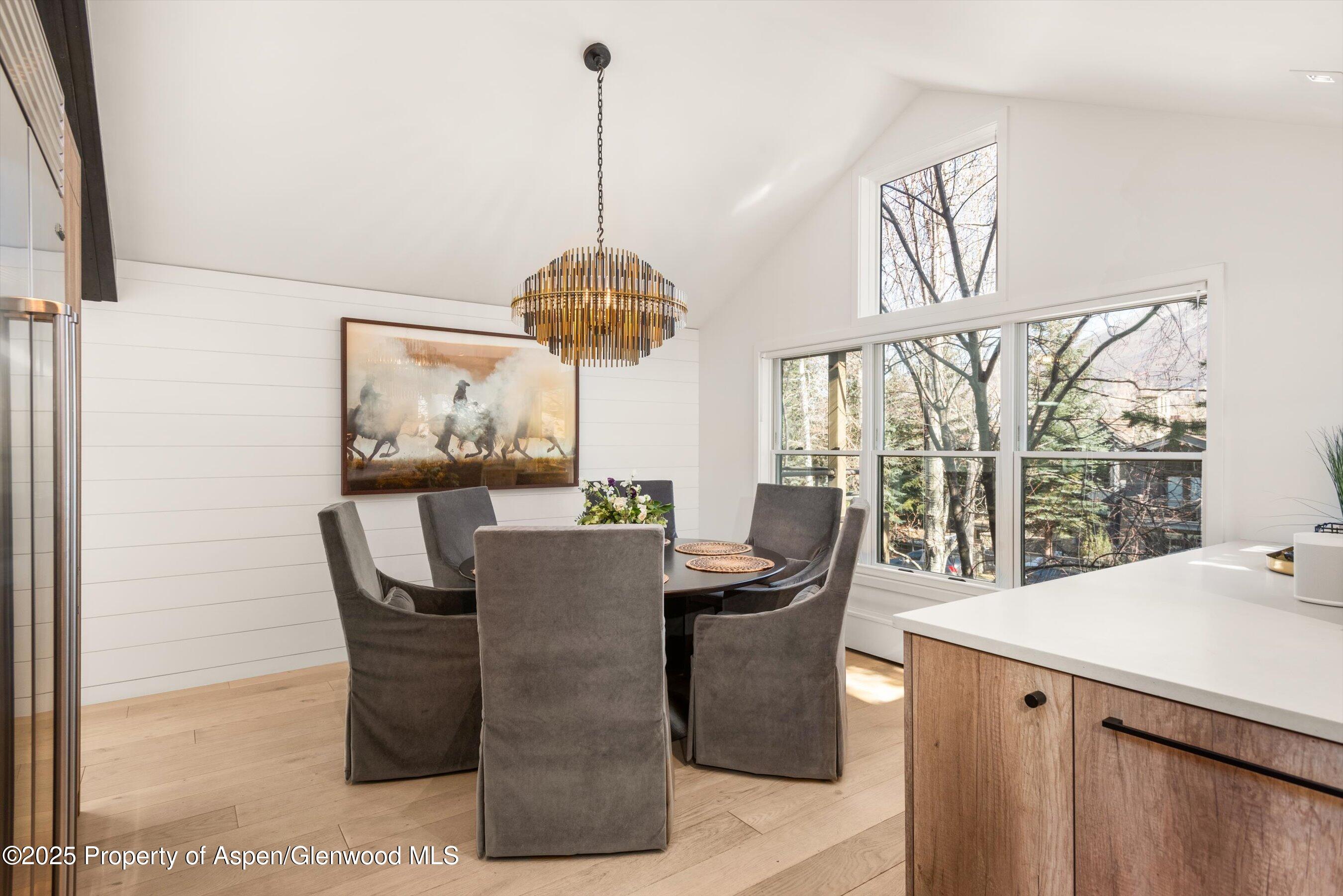 929 E E Durant Avenue Aspen CO 81611