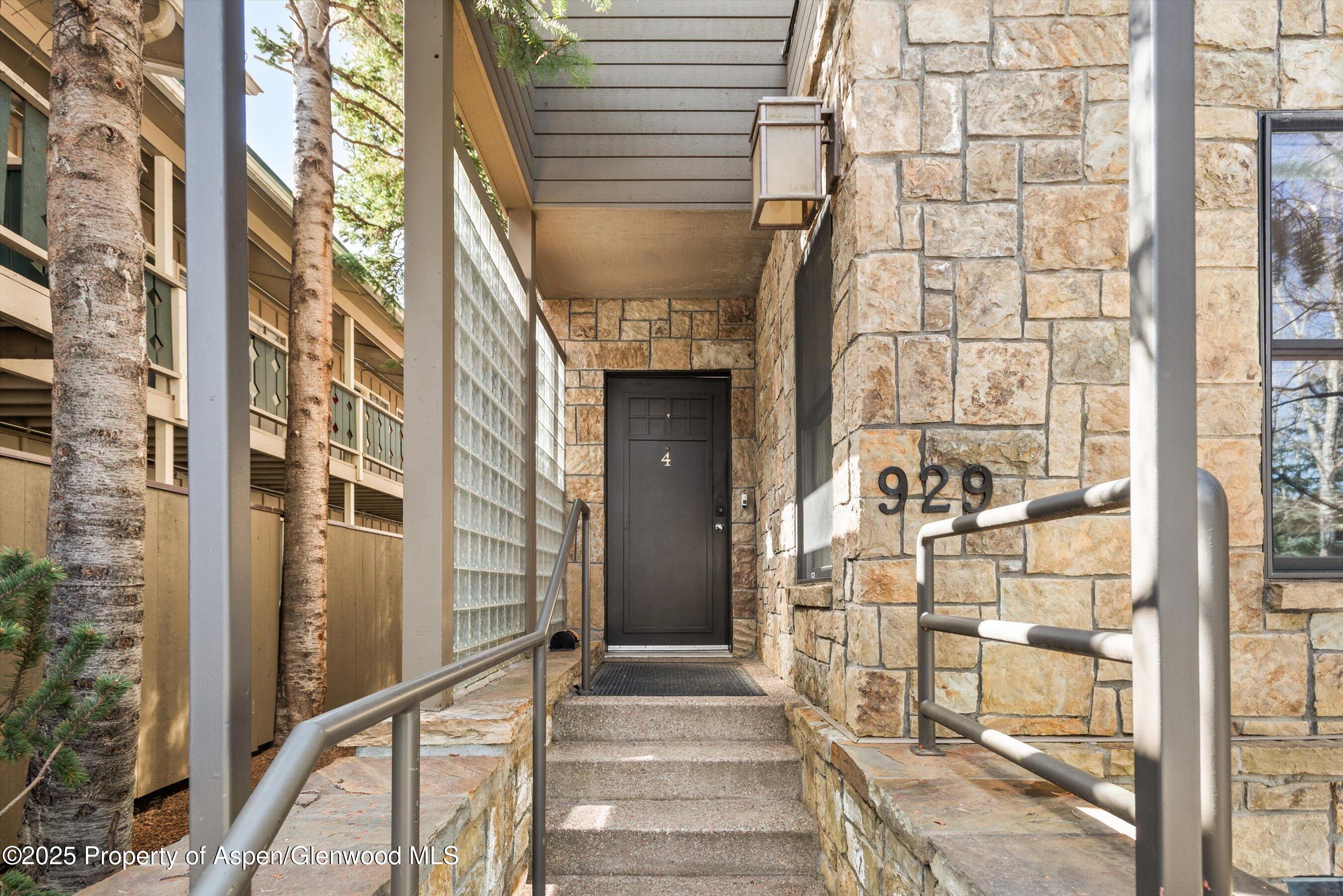 929 E E Durant Avenue Aspen CO 81611