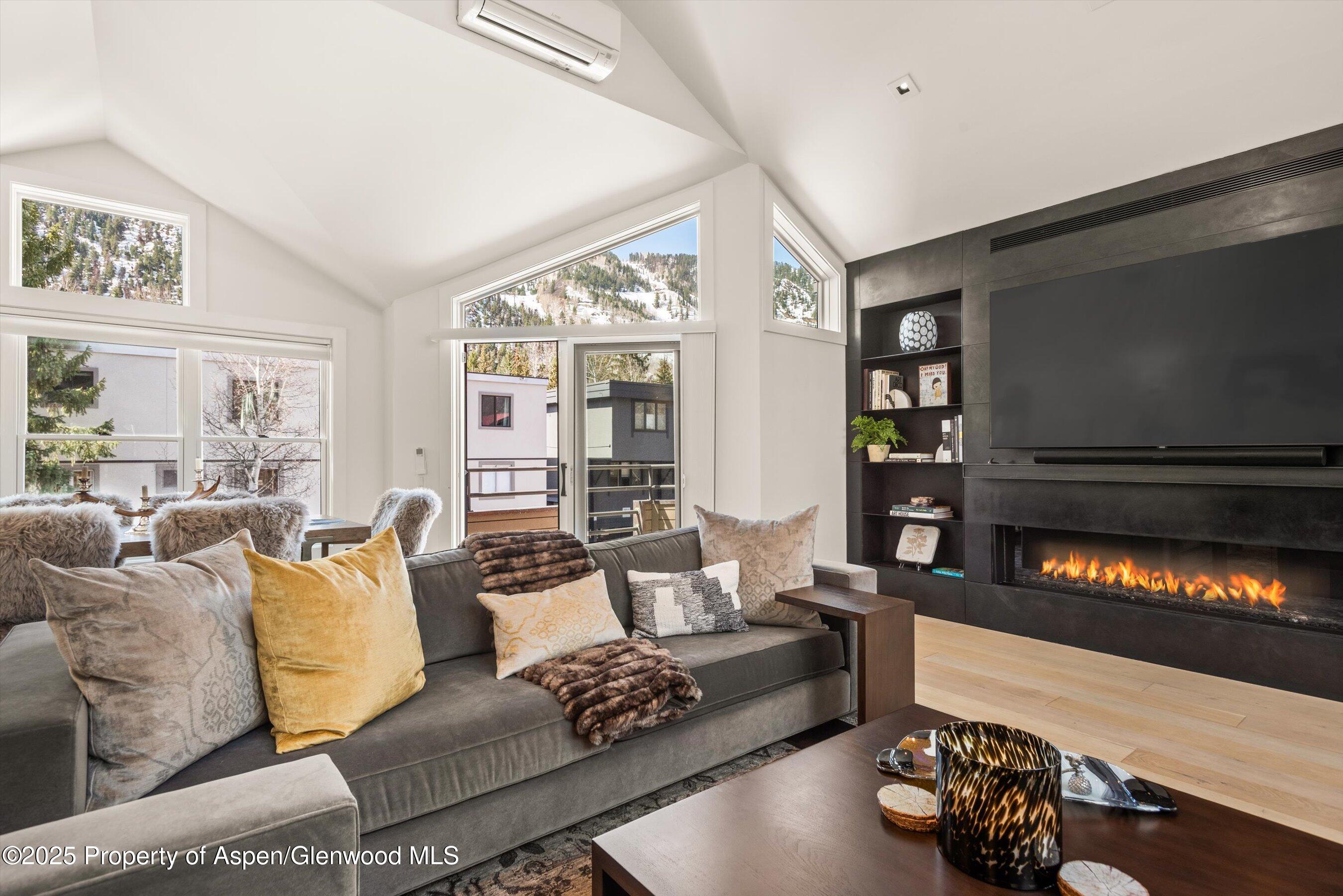 929 E E Durant Avenue Aspen CO 81611