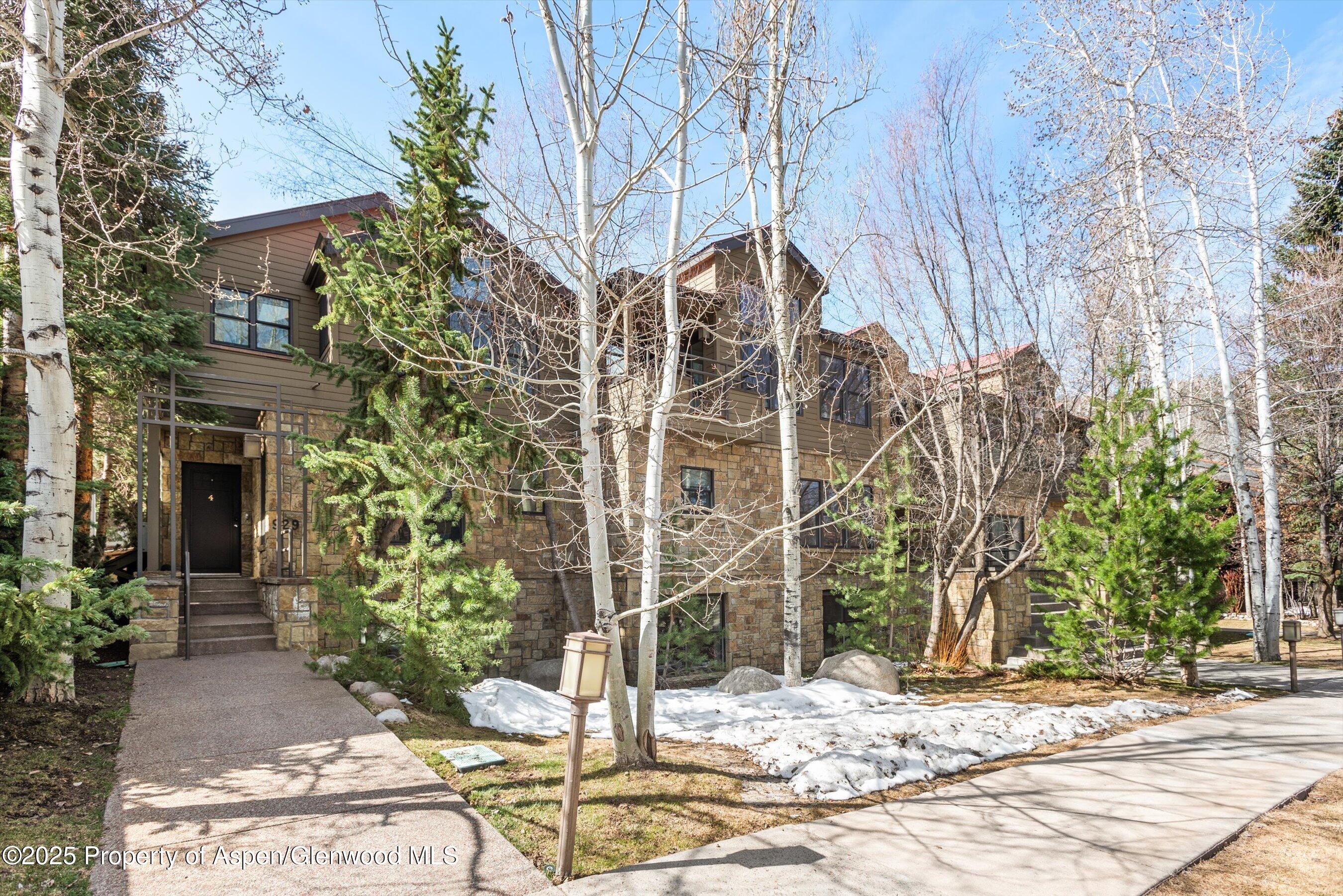 929 E E Durant Avenue Aspen CO 81611