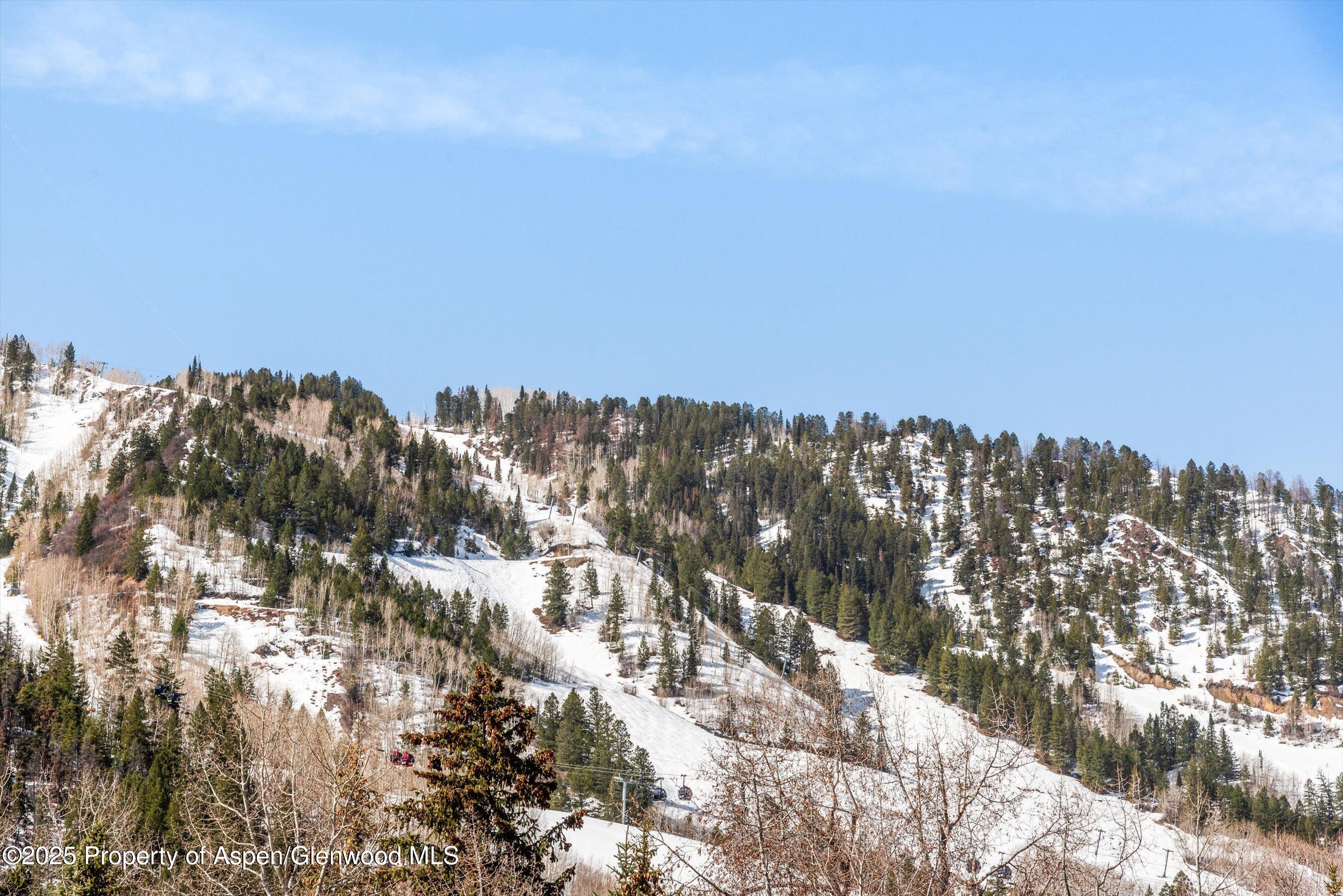 929 E E Durant Avenue Aspen CO 81611