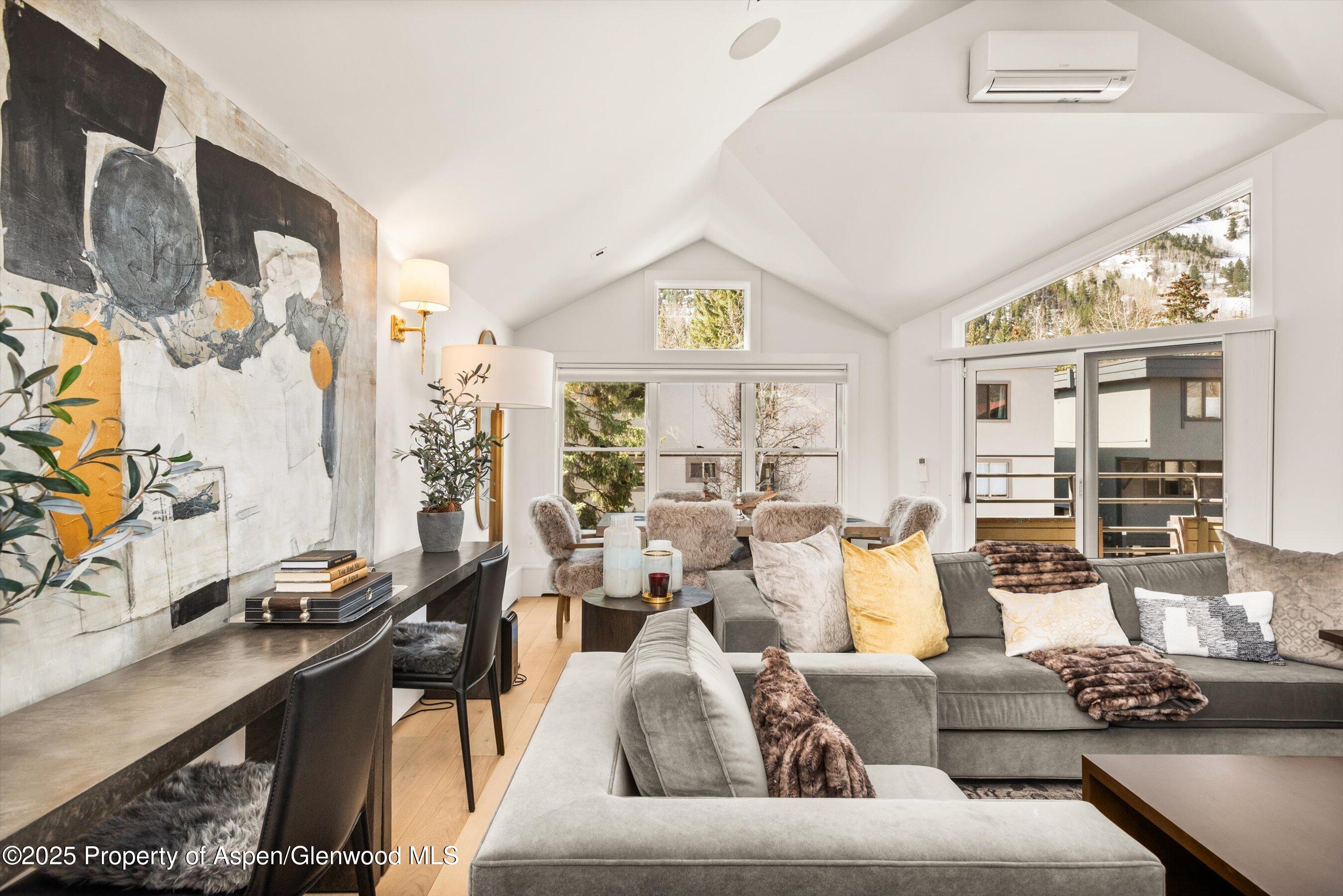 929 E E Durant Avenue Aspen CO 81611