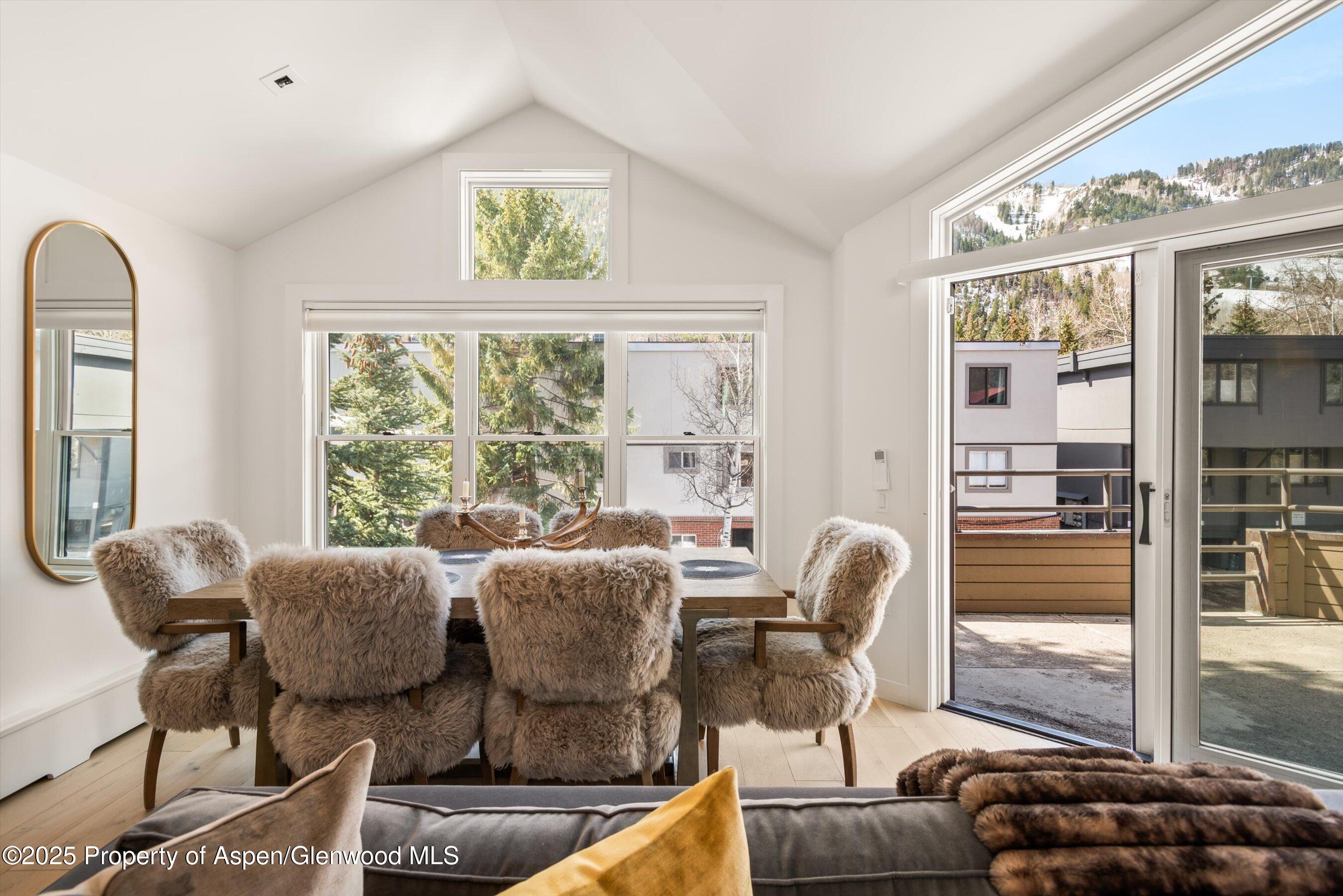 929 E E Durant Avenue Aspen CO 81611