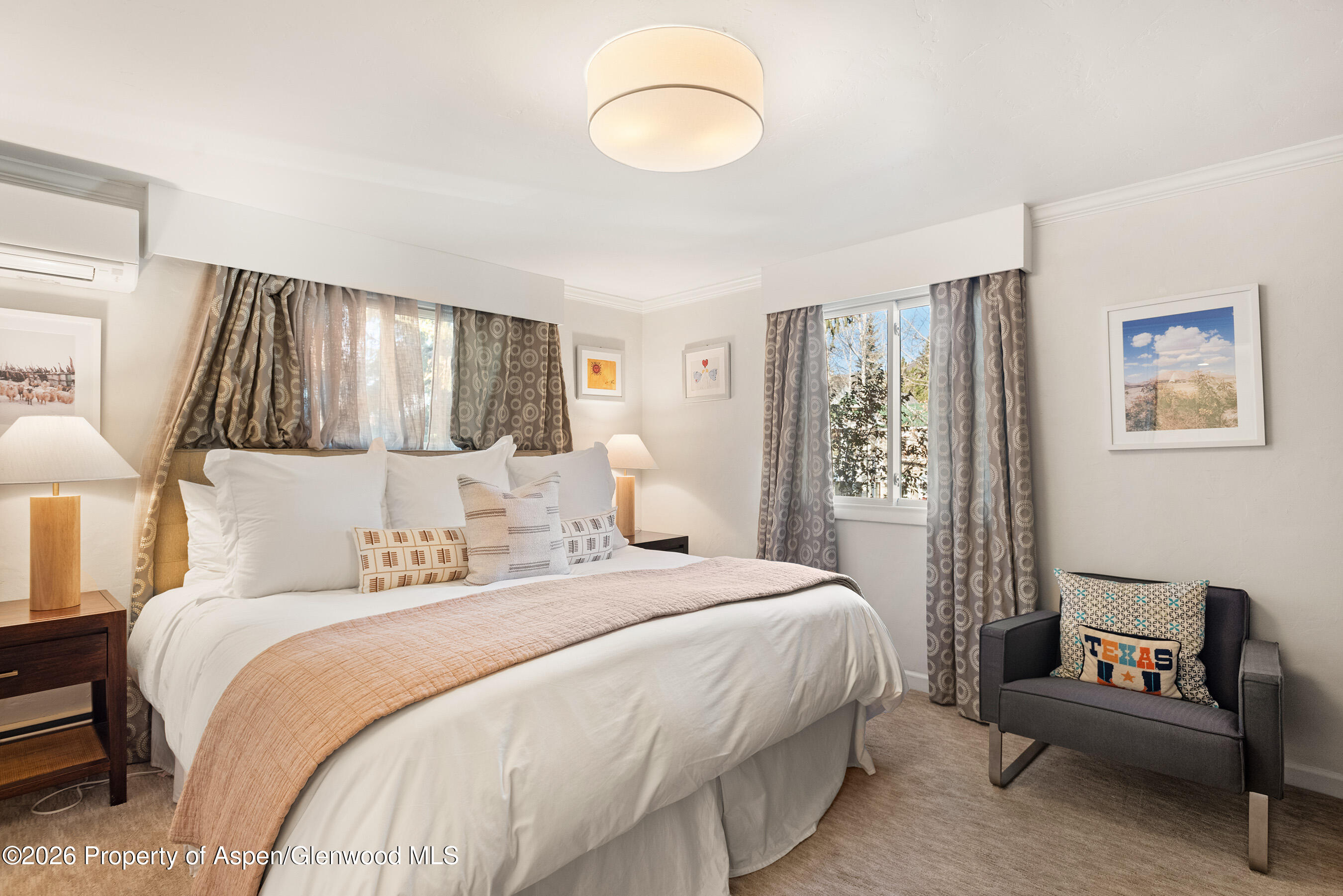 835 E Hyman Avenue Aspen CO 81611