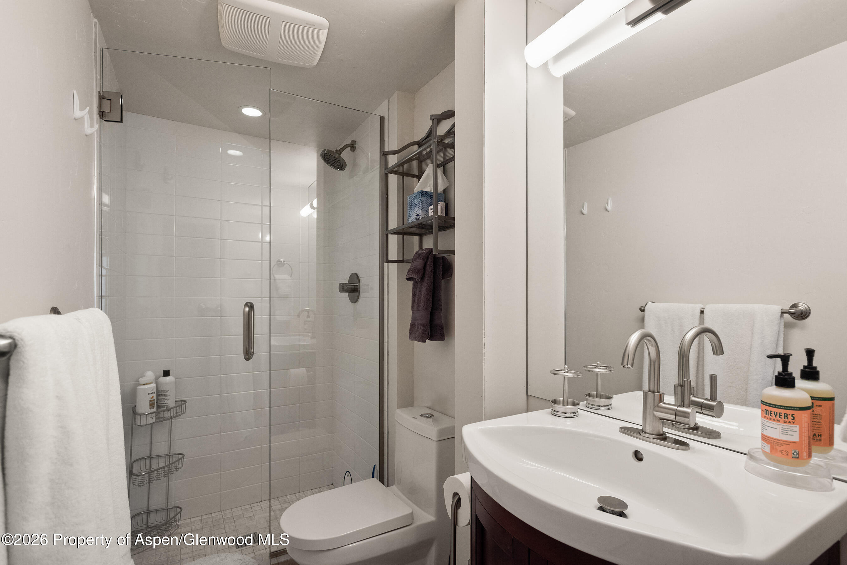 835 E Hyman Avenue Aspen CO 81611