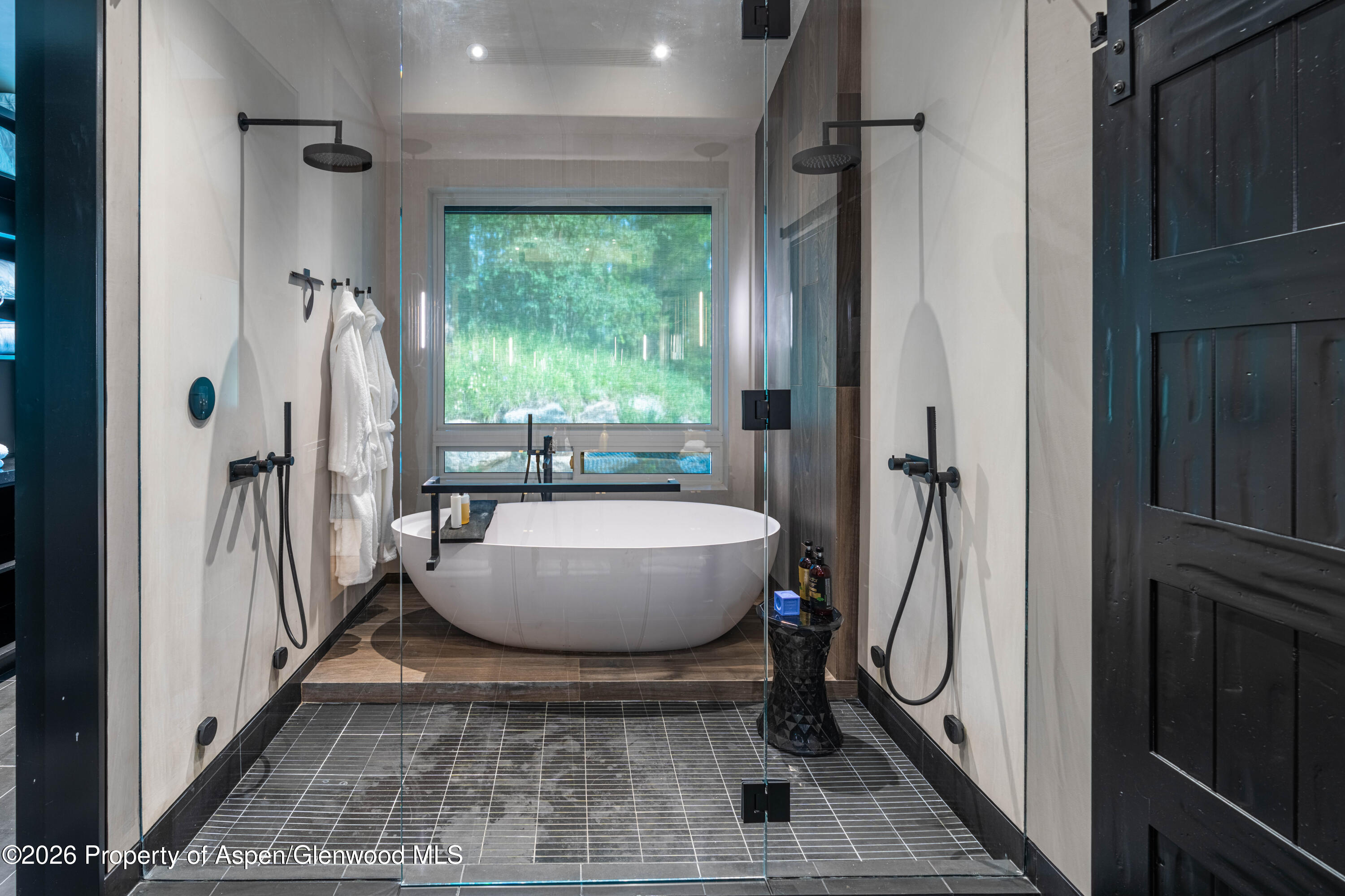 31 Northstar Circle Aspen CO 81611