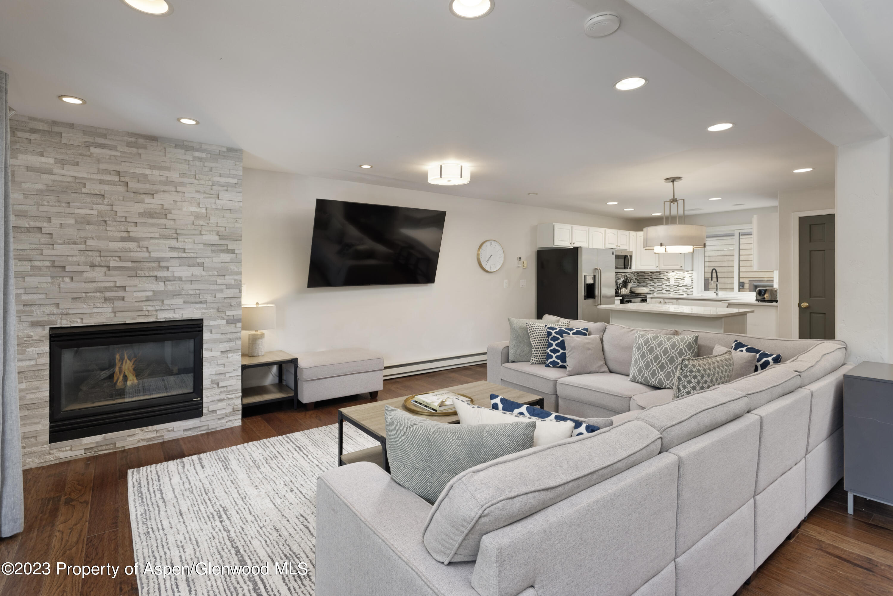 650 S Monarch Street Aspen CO 81611