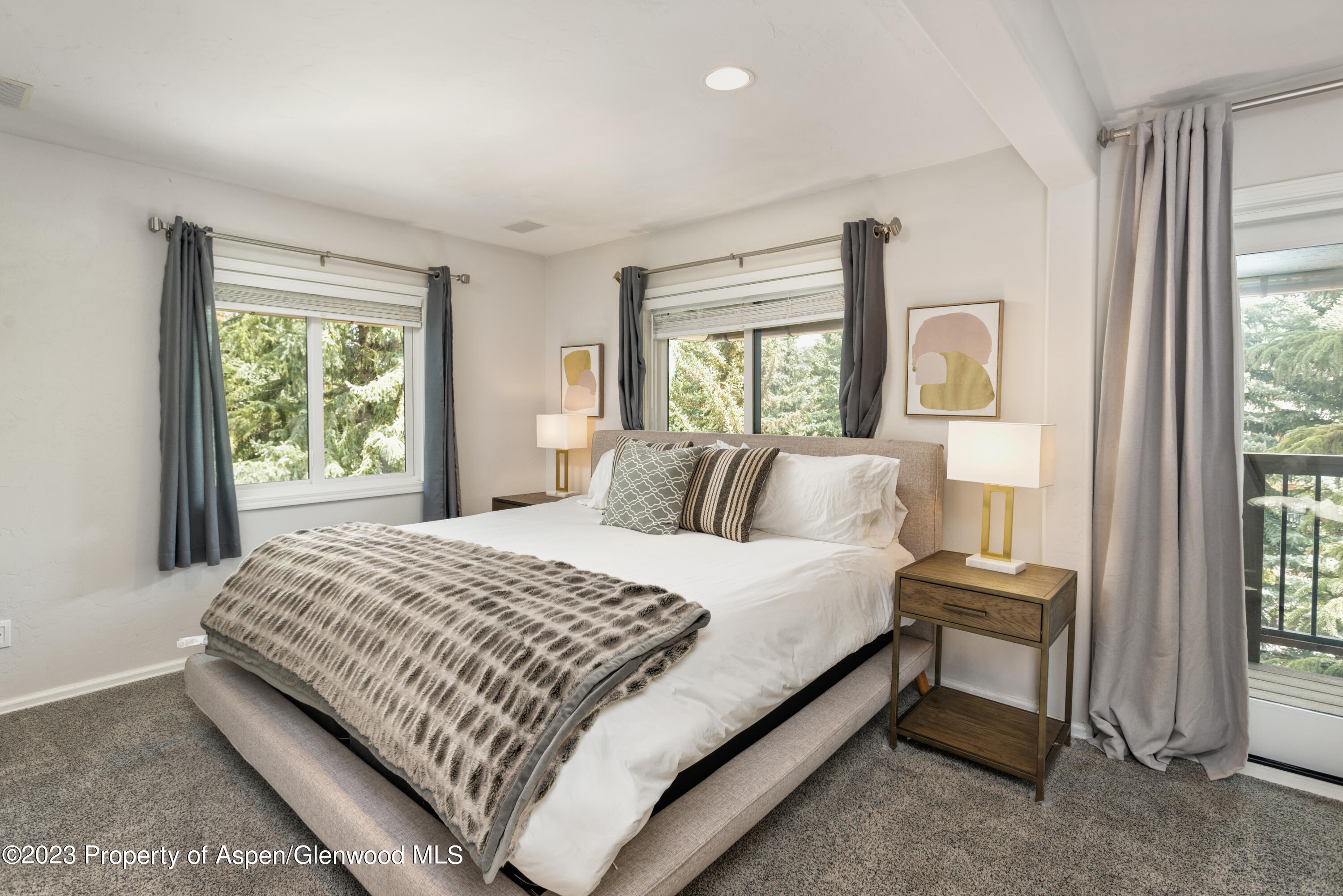 650 S Monarch Street Aspen CO 81611