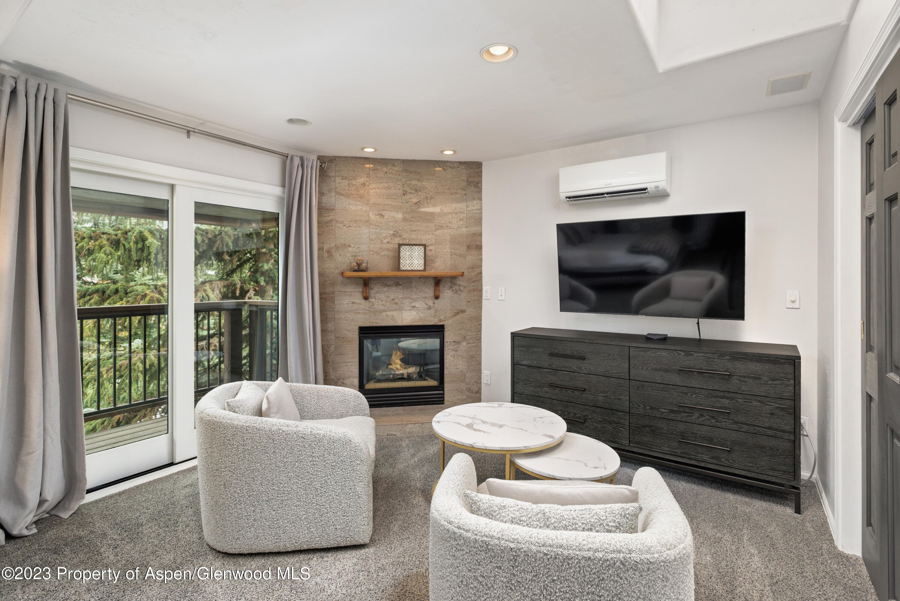 650 S Monarch Street Aspen CO 81611