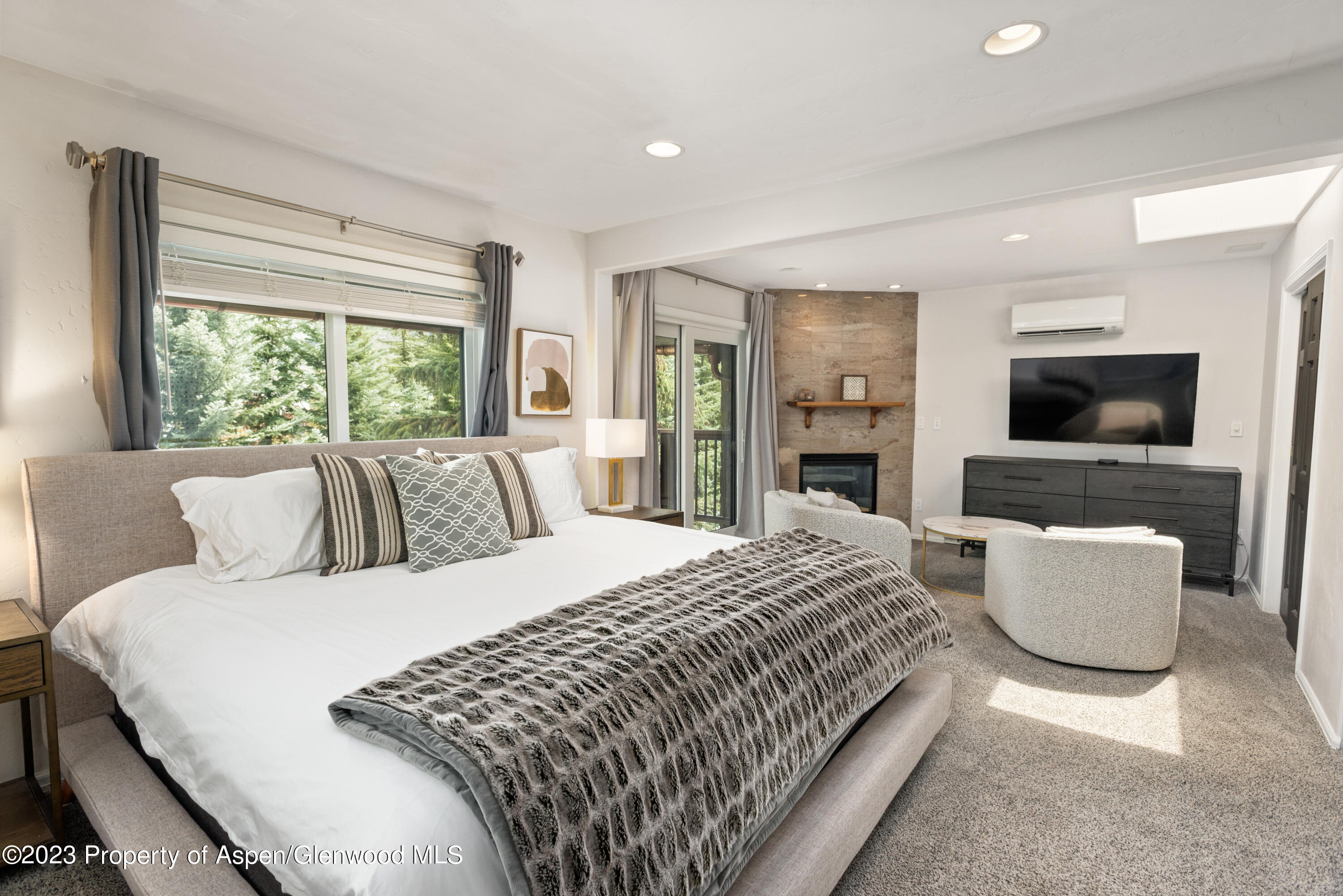 650 S Monarch Street Aspen CO 81611